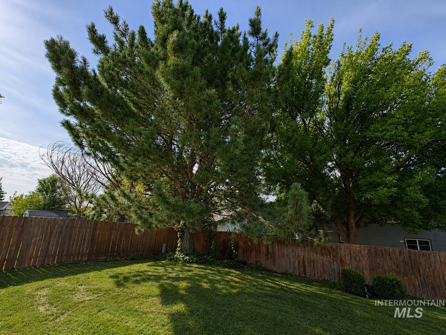 2313 Leo Dr. Property Photo 15