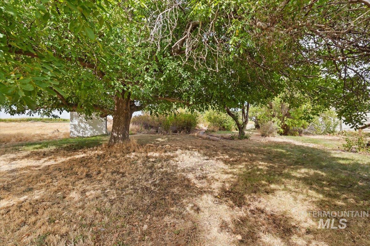 7510 Mcelroy Rd Property Photo 26