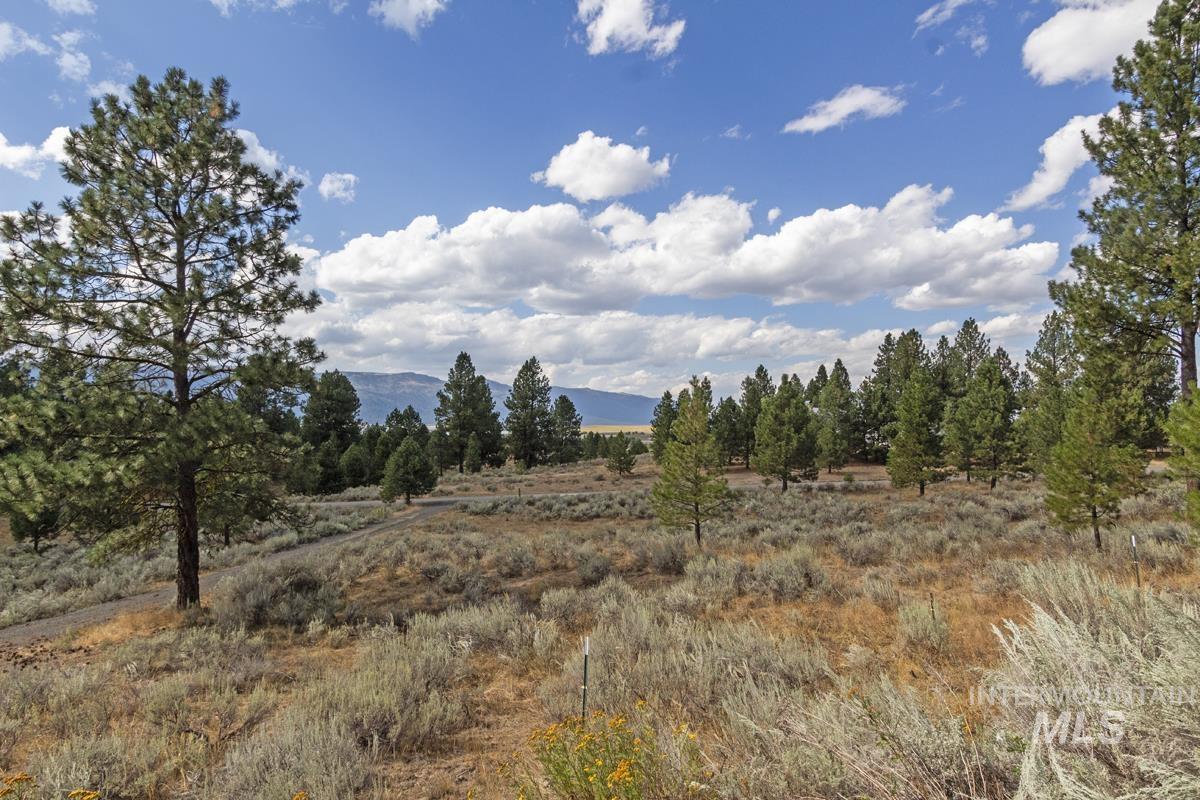 1610 Pine Lake Ranch Drive Property Photo 44