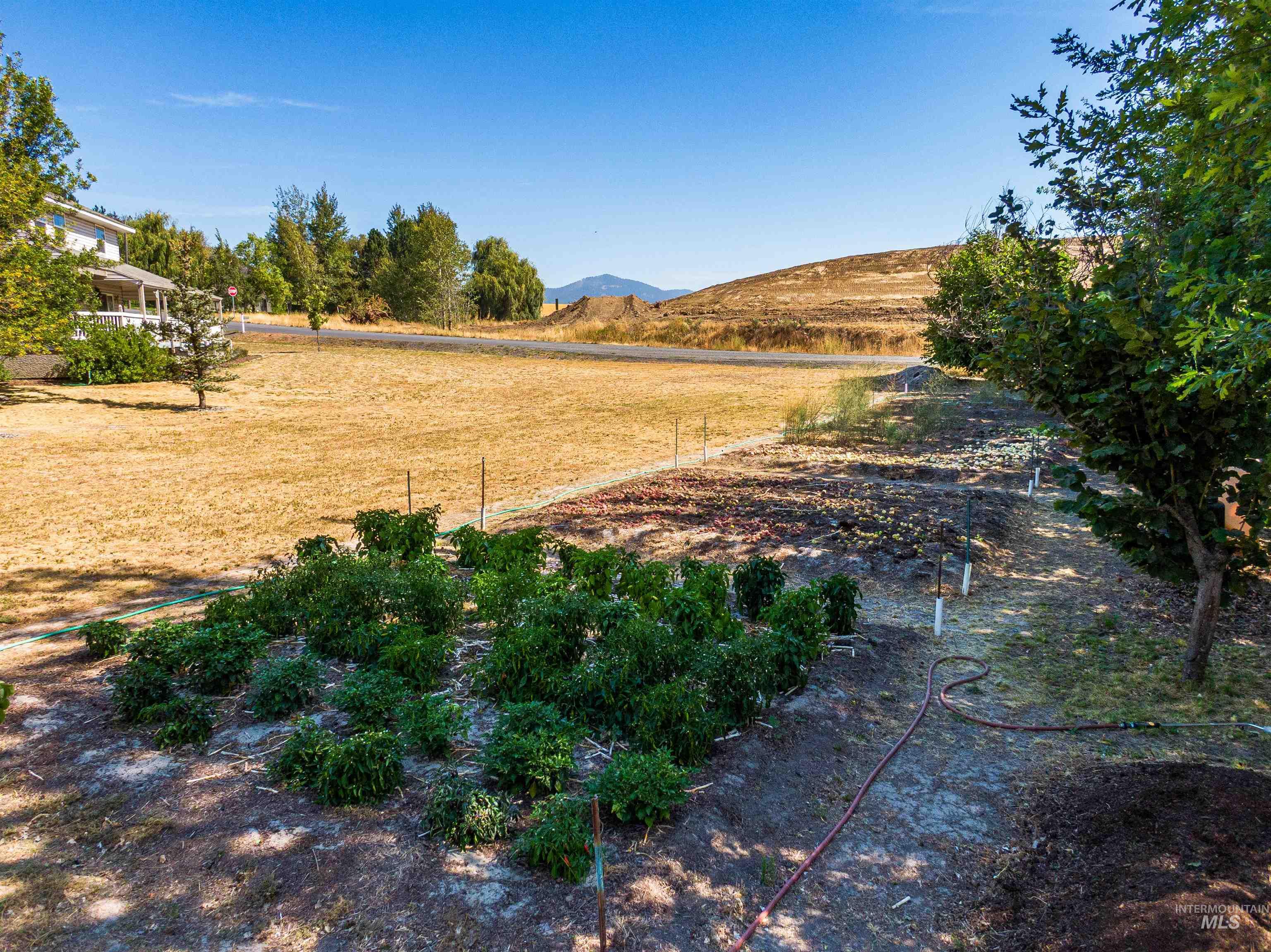 1953 Arborcrest Rd Property Photo 43