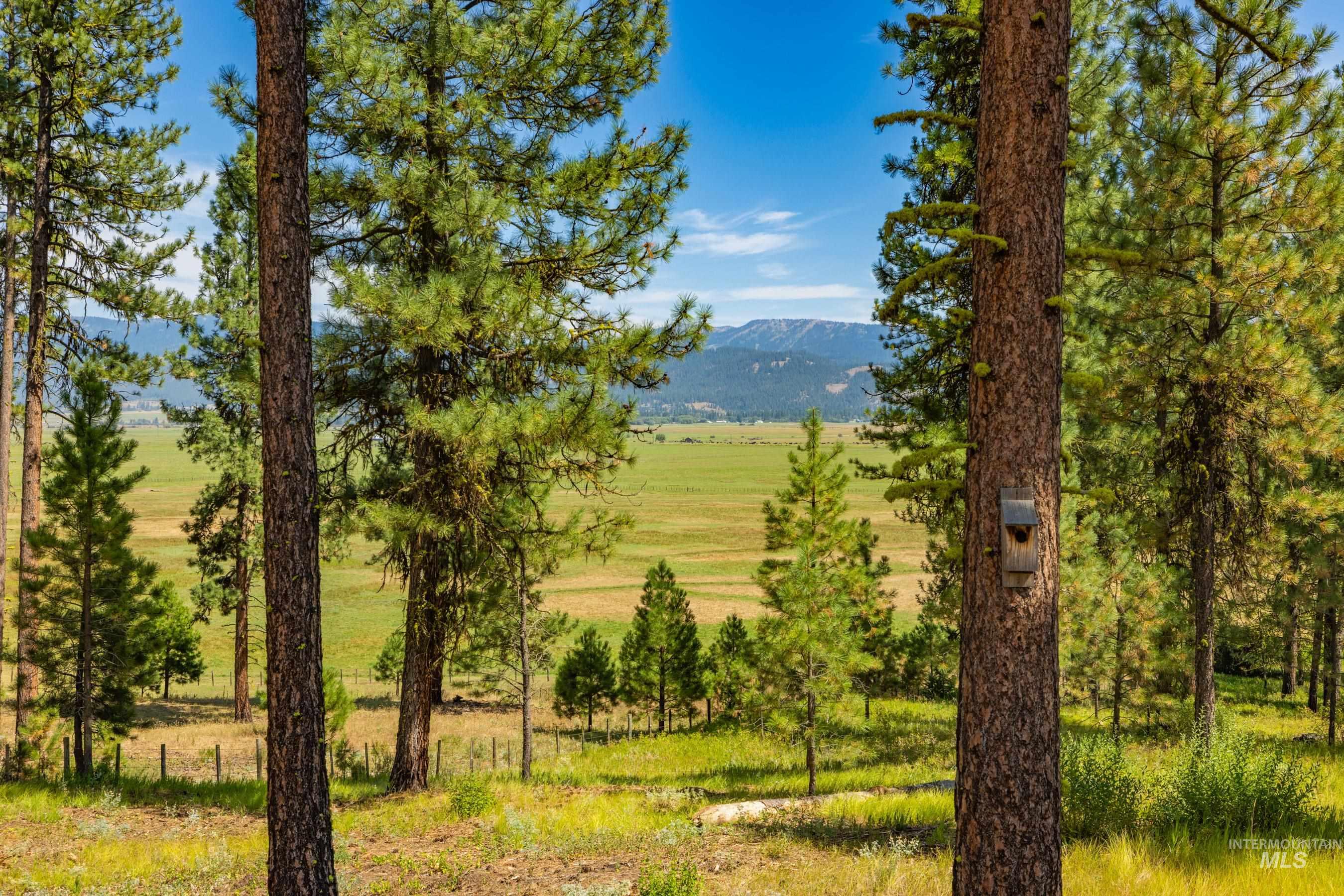 3162 Timber R Property Photo 1