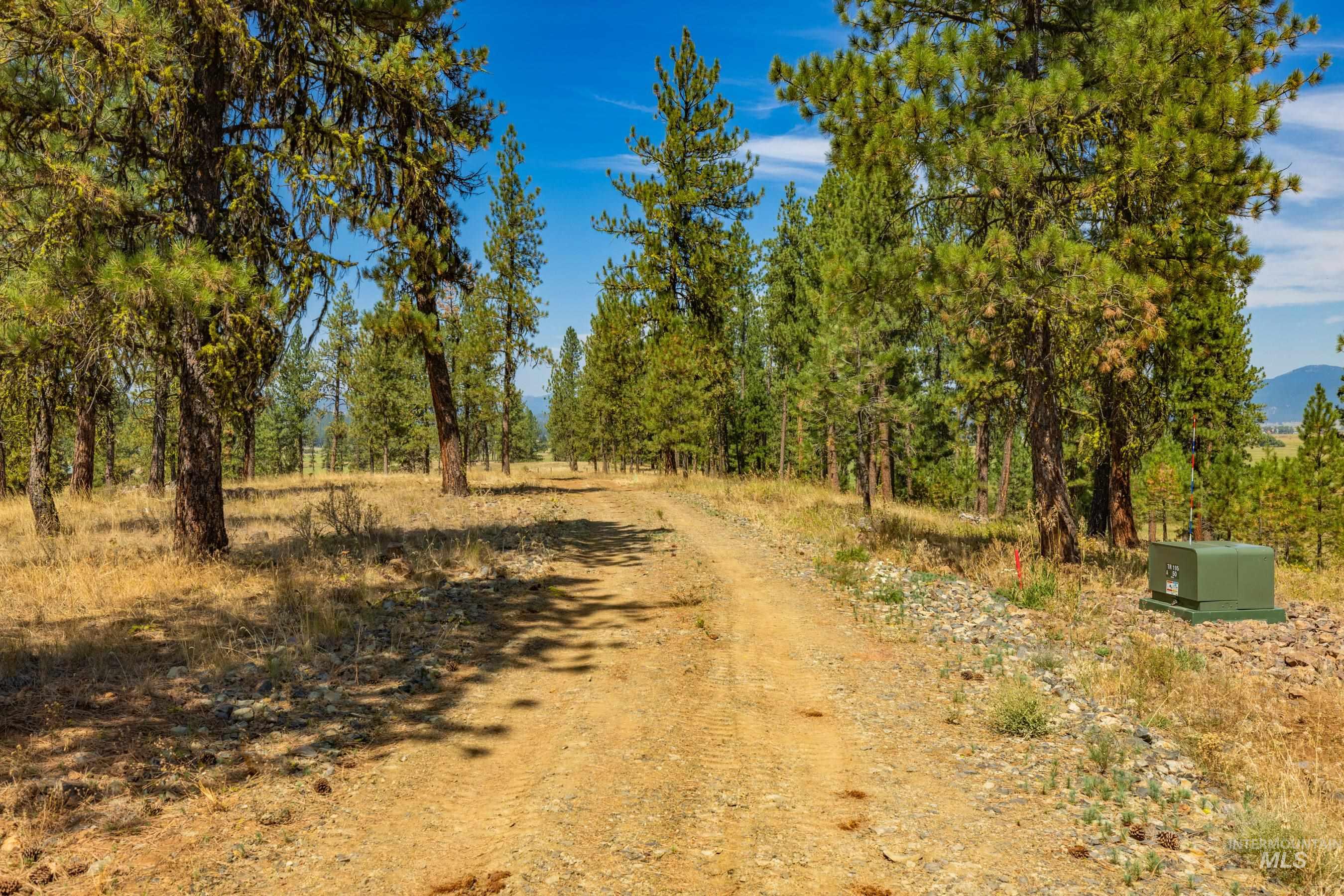 3162 Timber R Property Photo 4
