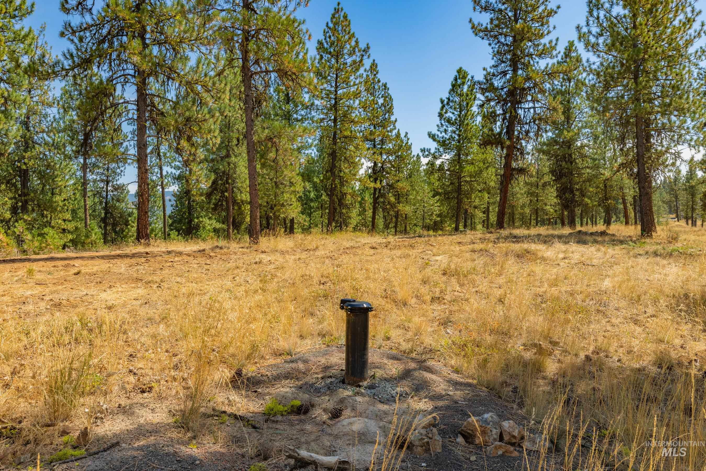 3162 Timber R Property Photo 5