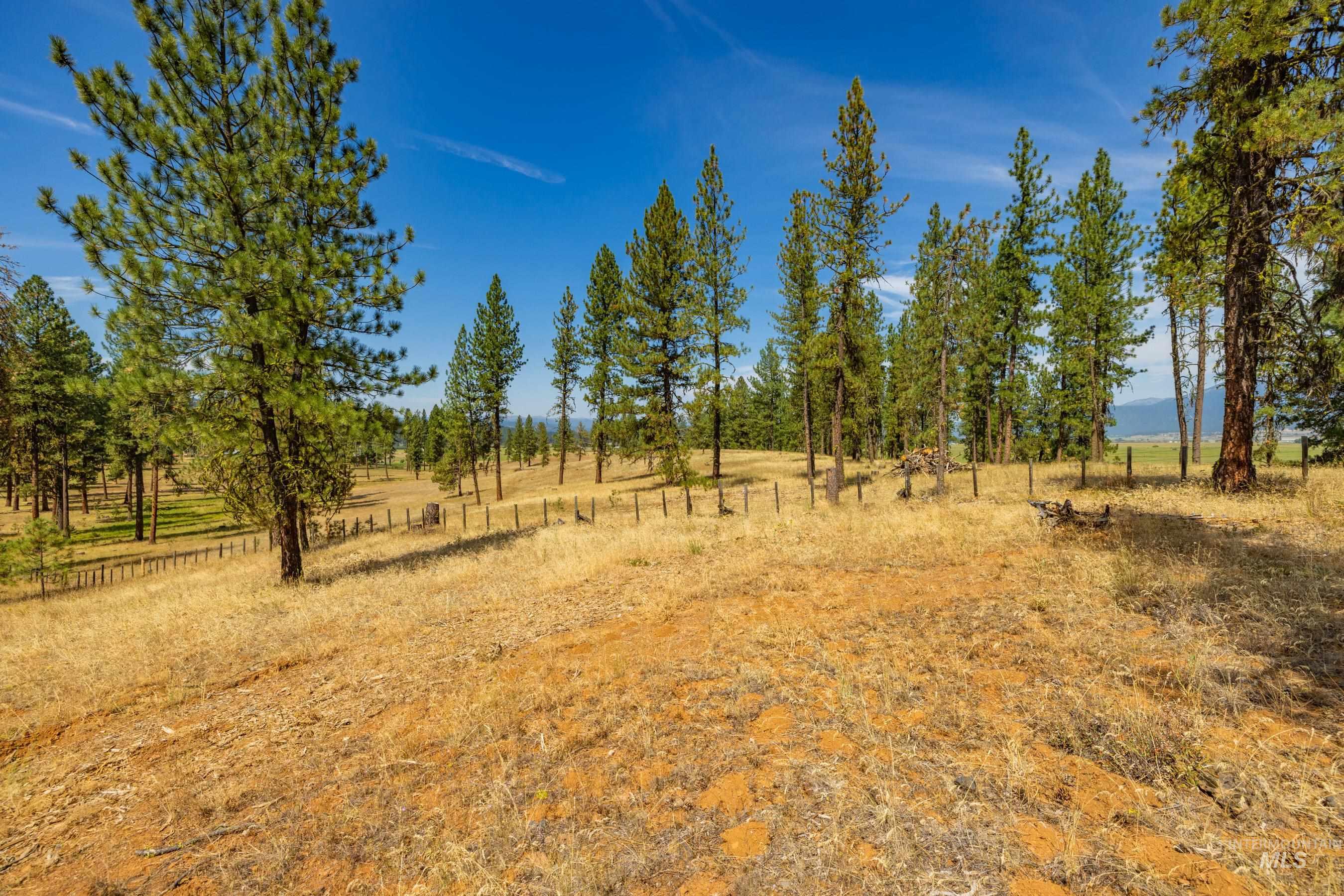 3162 Timber R Property Photo 8