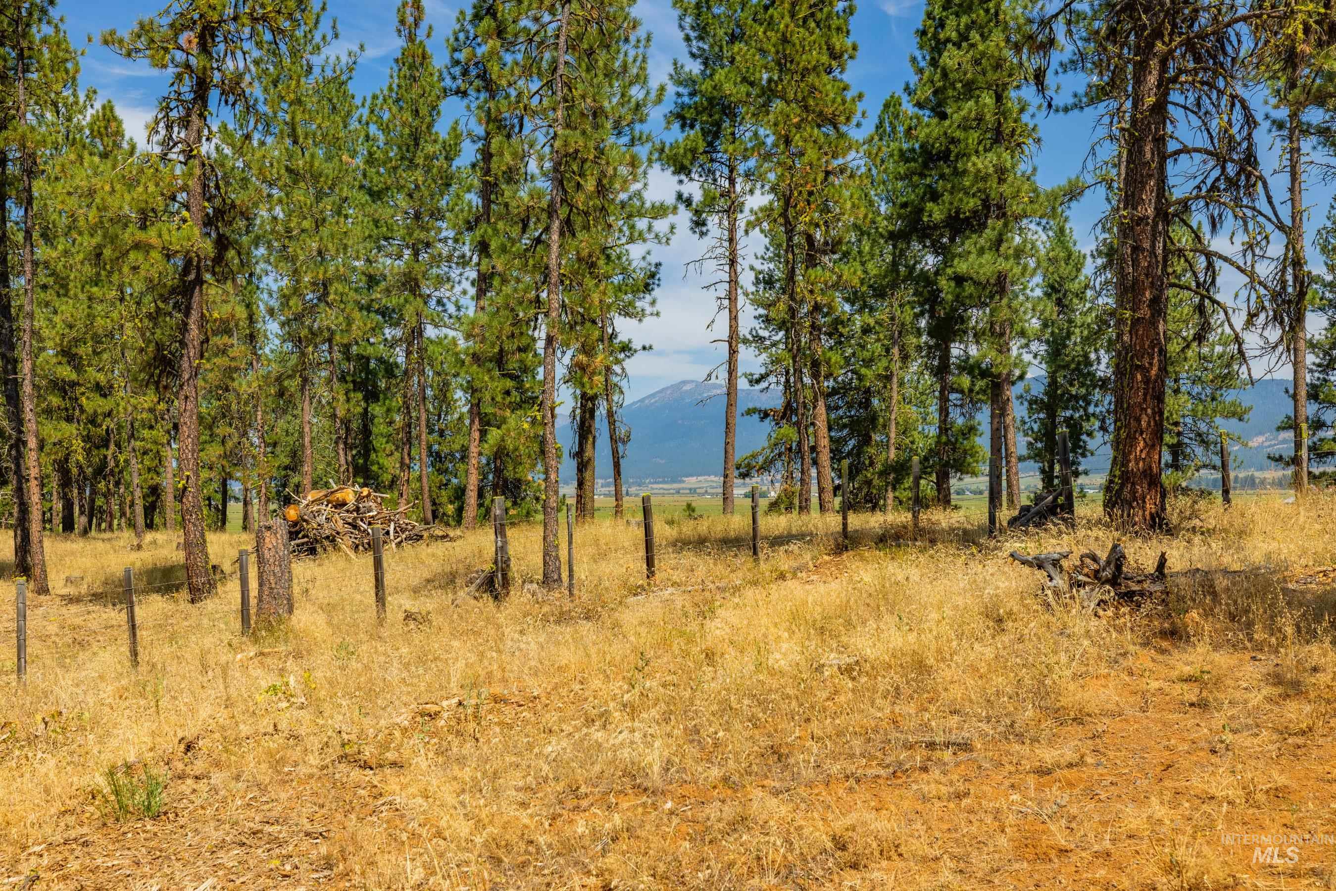 3162 Timber R Property Photo 10