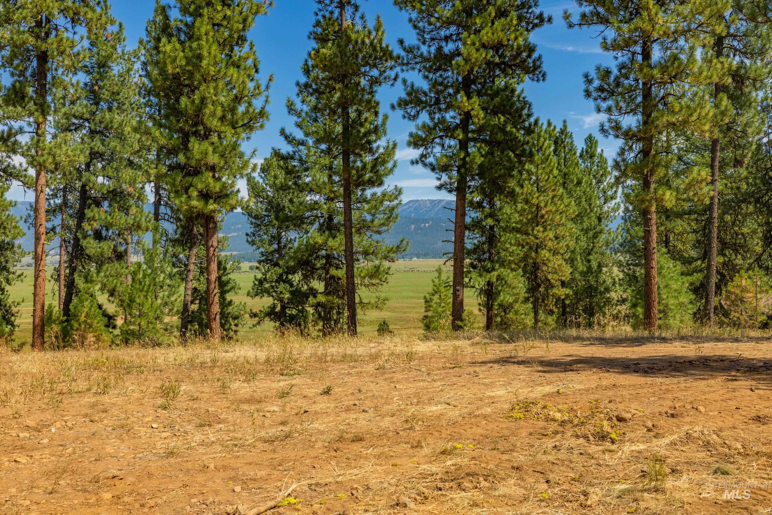 3162 Timber R Property Photo 11