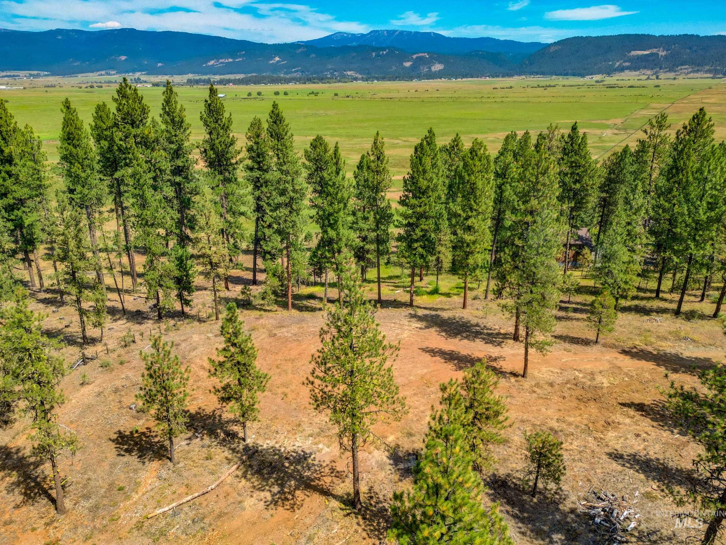 3162 Timber R Property Photo 17