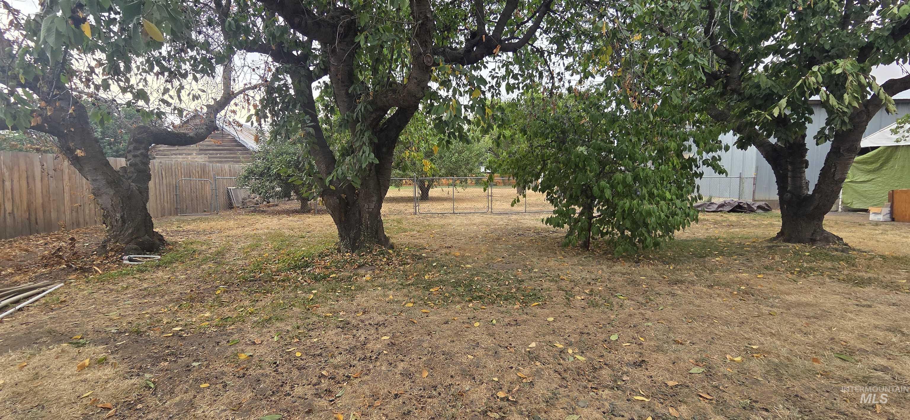 728 Bryden Property Photo 12