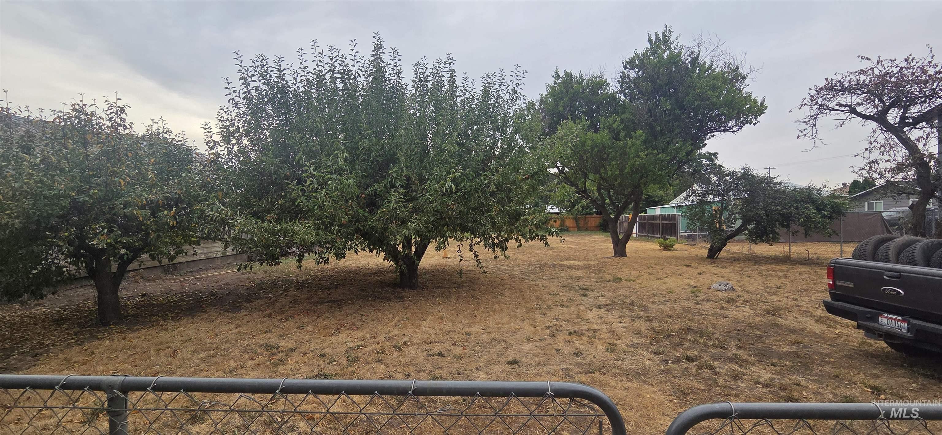 728 Bryden Property Photo 15