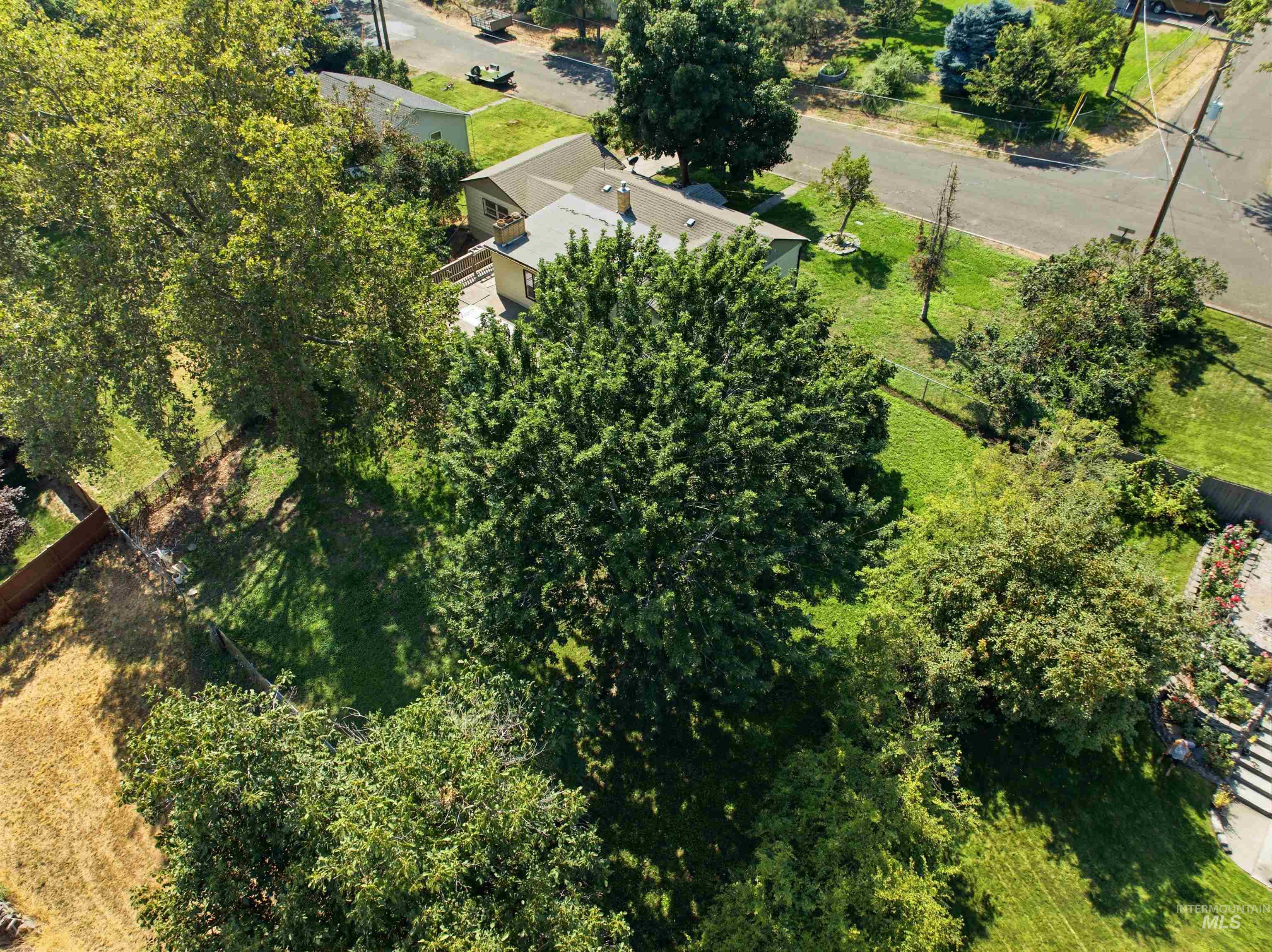 2123 Schaefer Property Photo 35