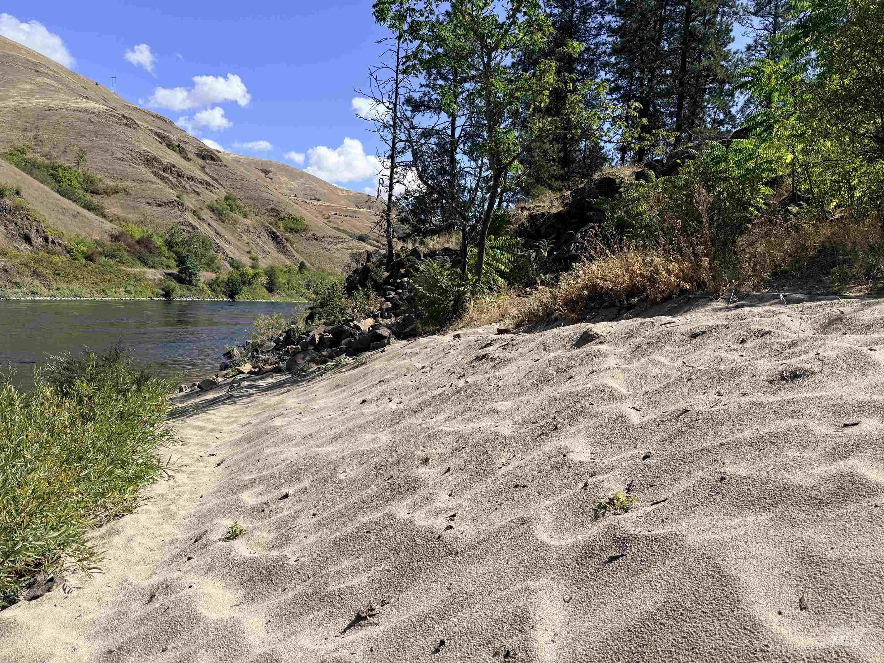 Tbd 17.49 Acres Hwy 12 Property Photo 2
