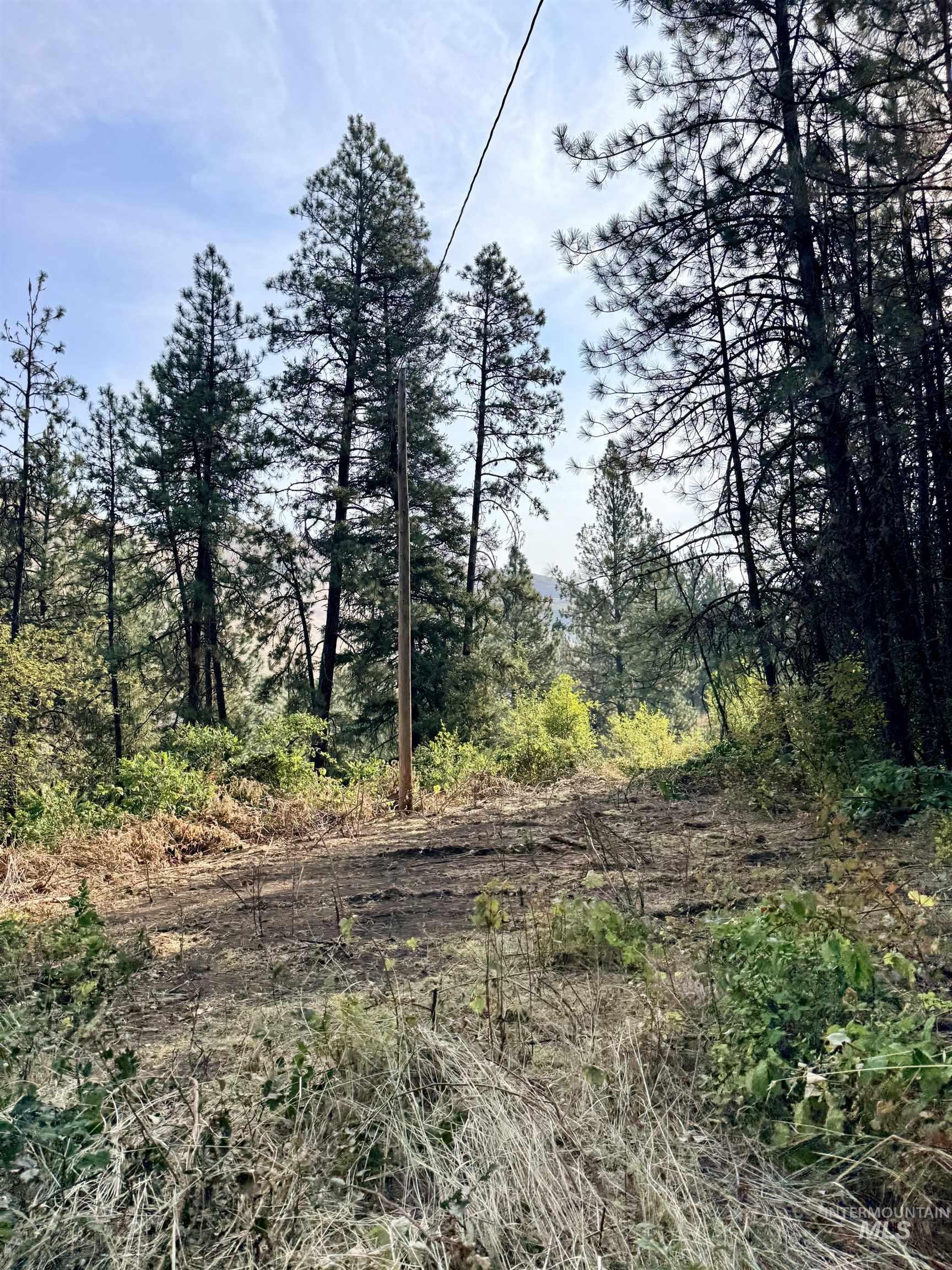 Tbd 17.49 Acres Hwy 12 Property Photo 6