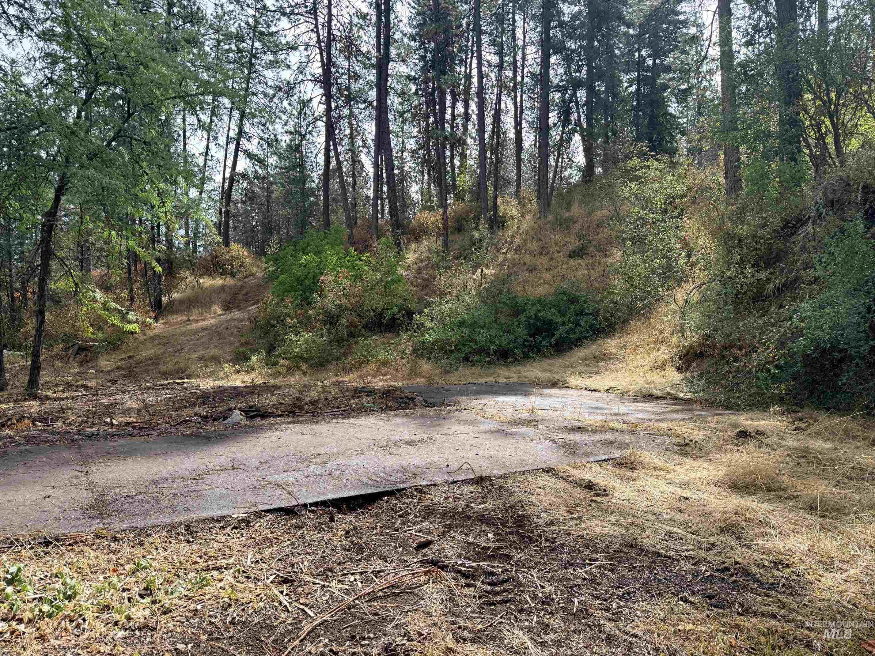 Tbd 17.49 Acres Hwy 12 Property Photo 8