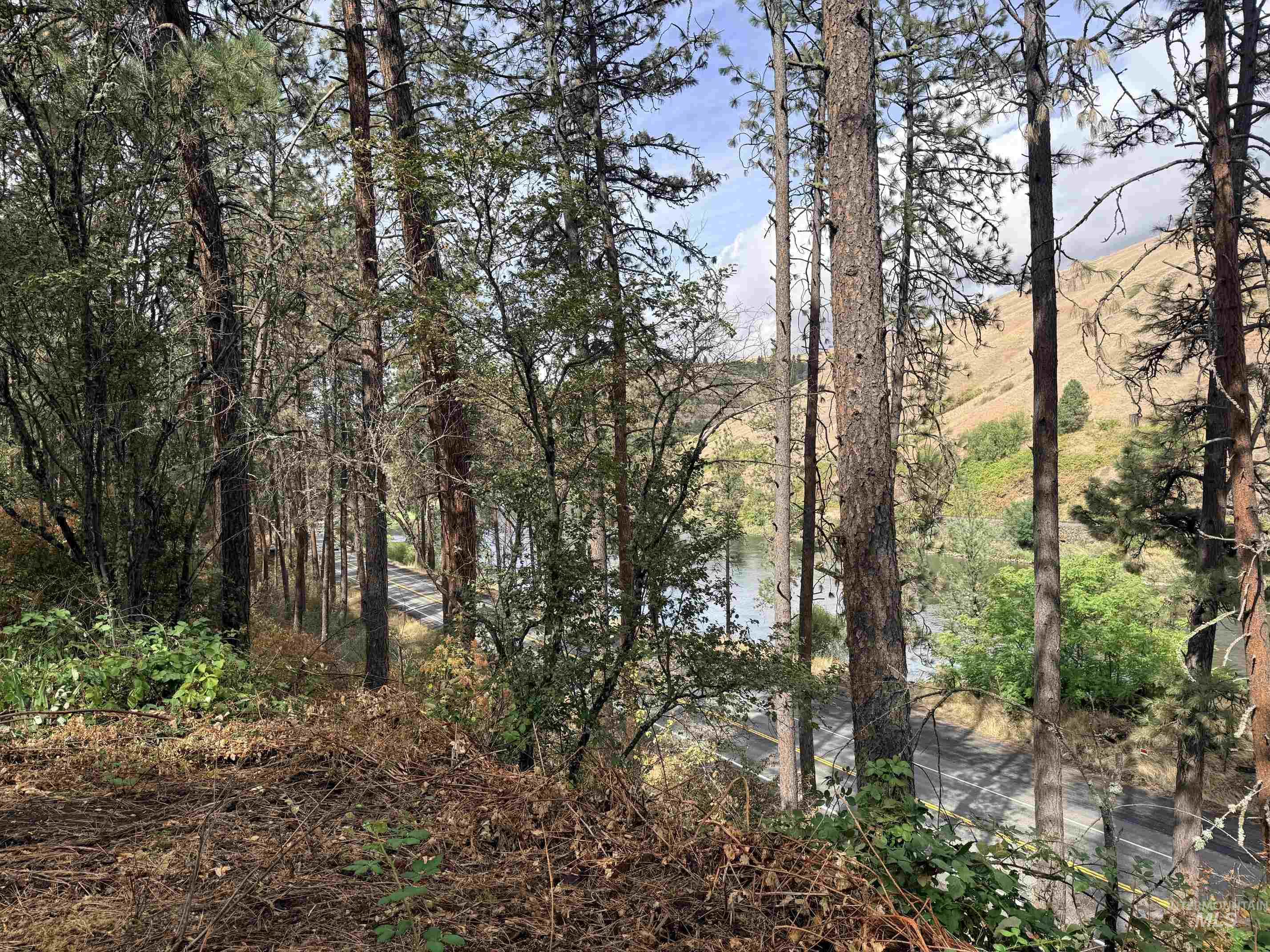 Tbd 17.49 Acres Hwy 12 Property Photo 9