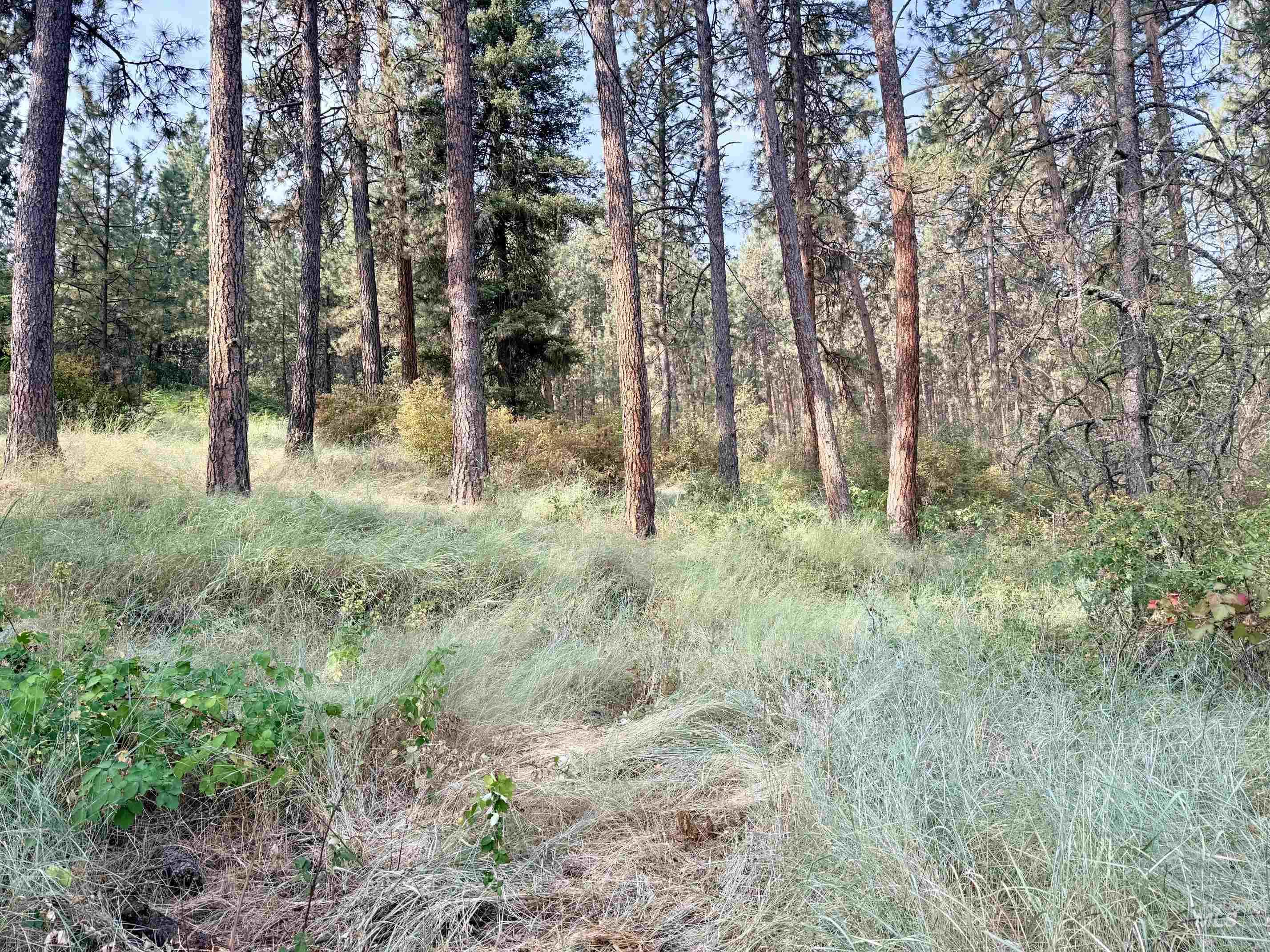 Tbd 17.49 Acres Hwy 12 Property Photo 13