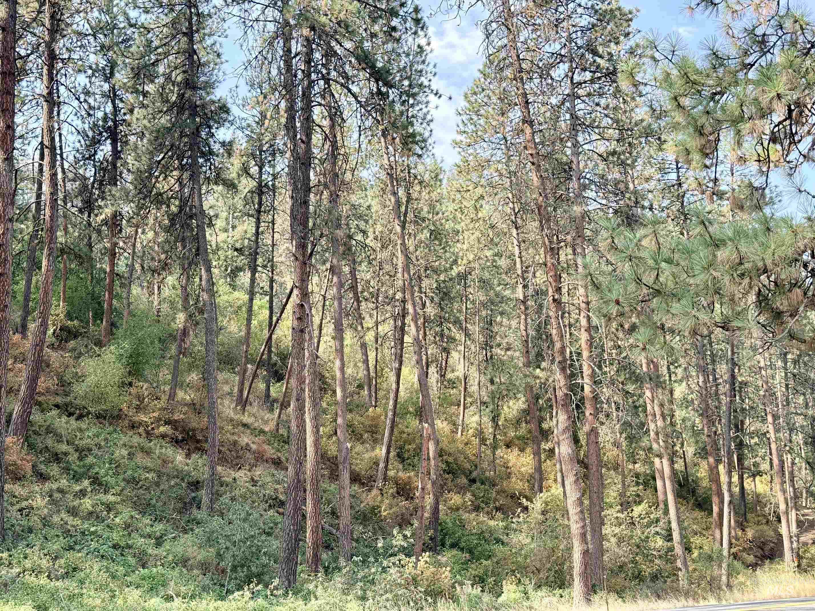 Tbd 17.49 Acres Hwy 12 Property Photo 14