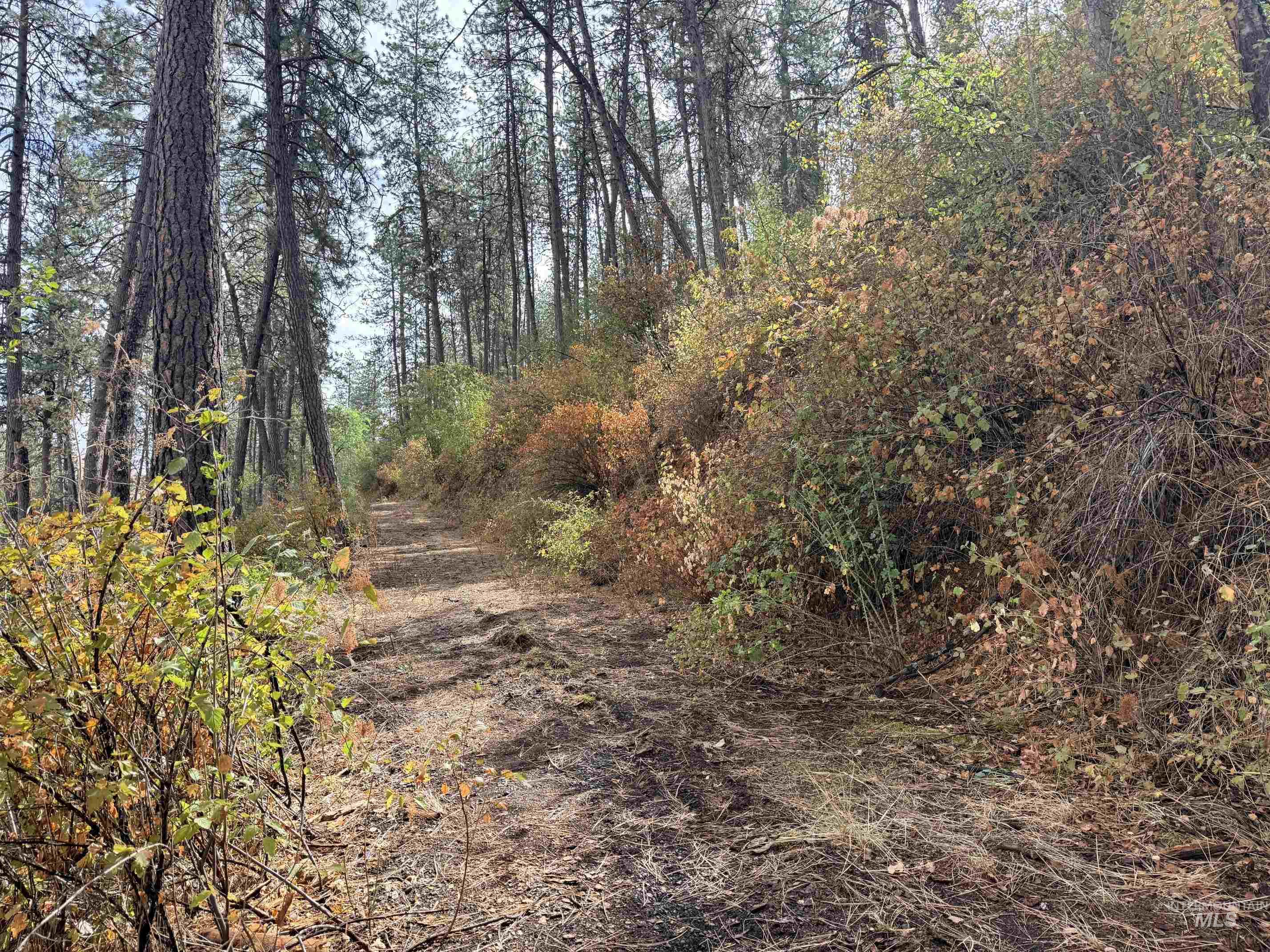 Tbd 17.49 Acres Hwy 12 Property Photo 20