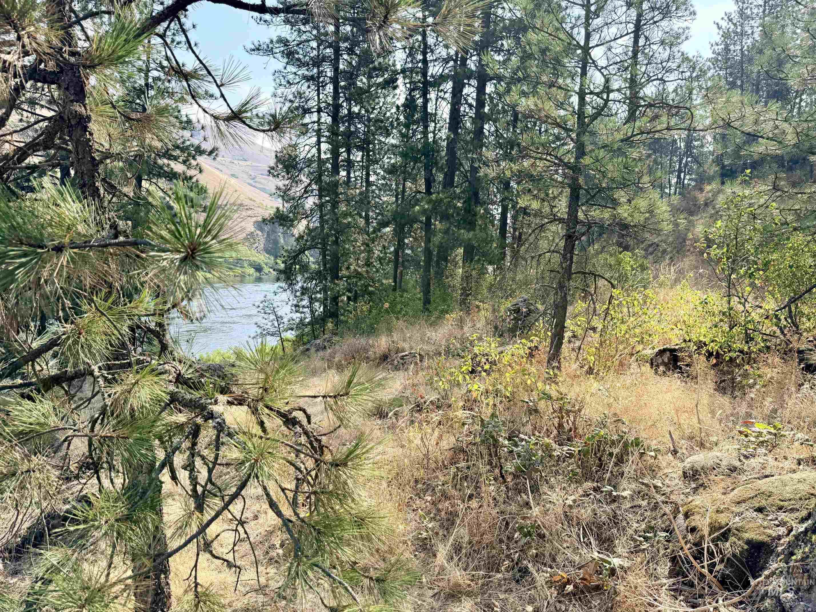 Tbd 17.49 Acres Hwy 12 Property Photo 28