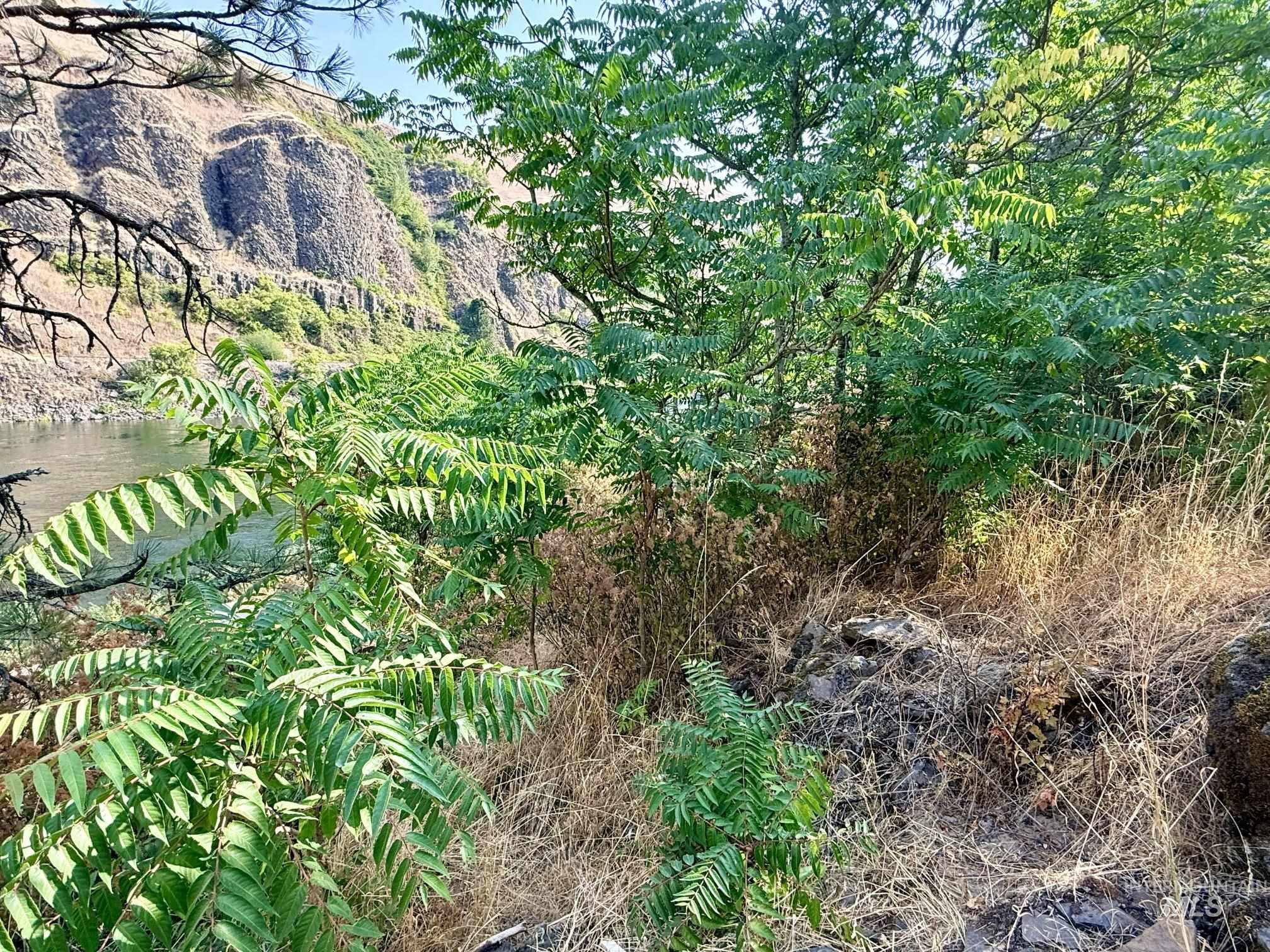 Tbd 17.49 Acres Hwy 12 Property Photo 35