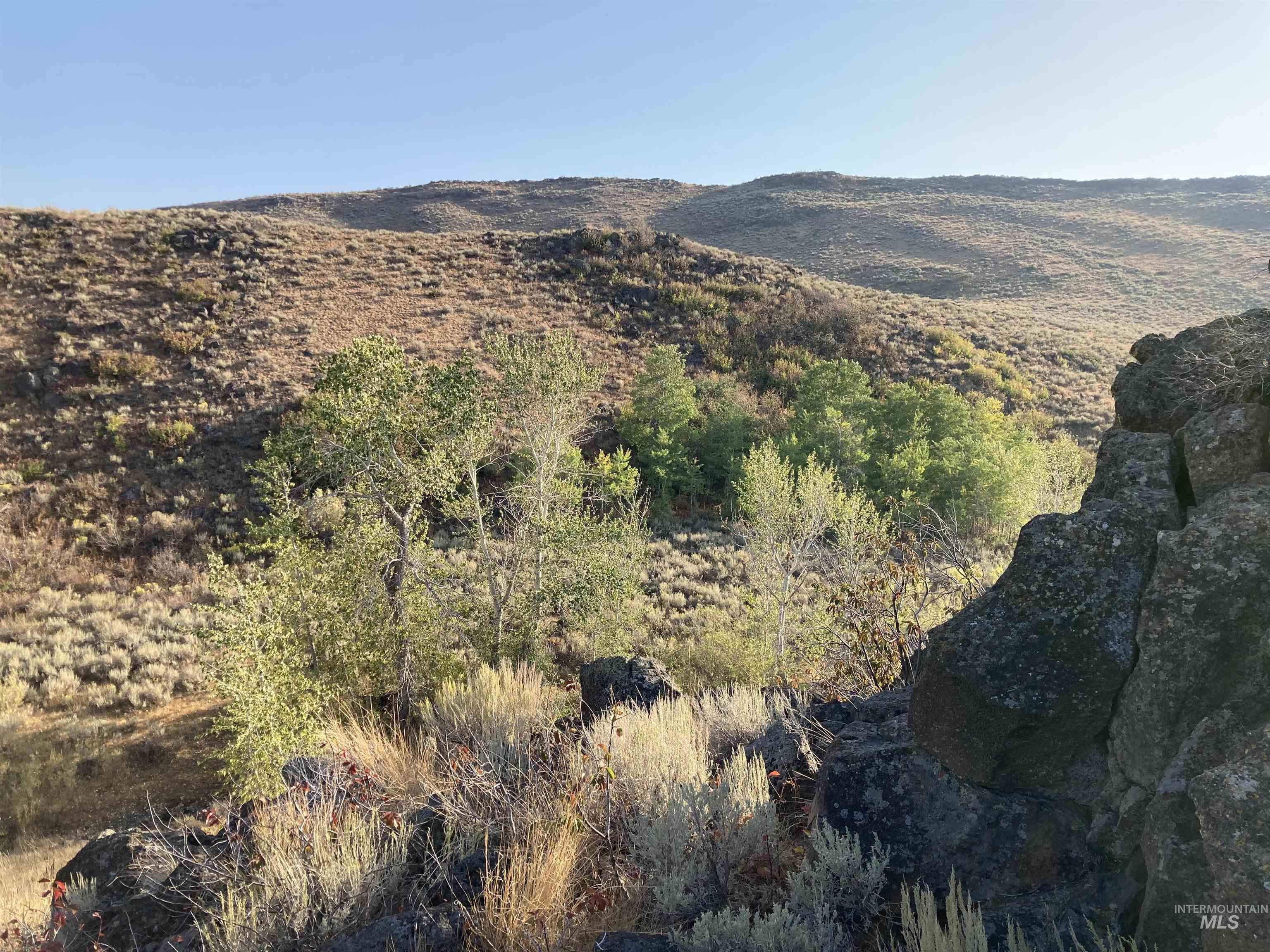 Poison Creek Road