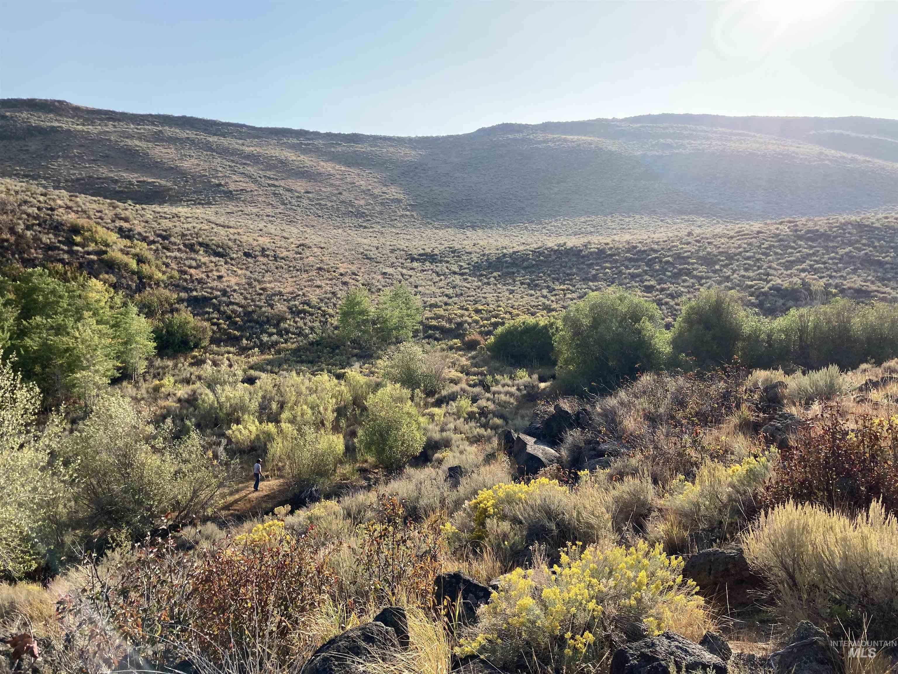 Poison Creek Road Property Photo 2