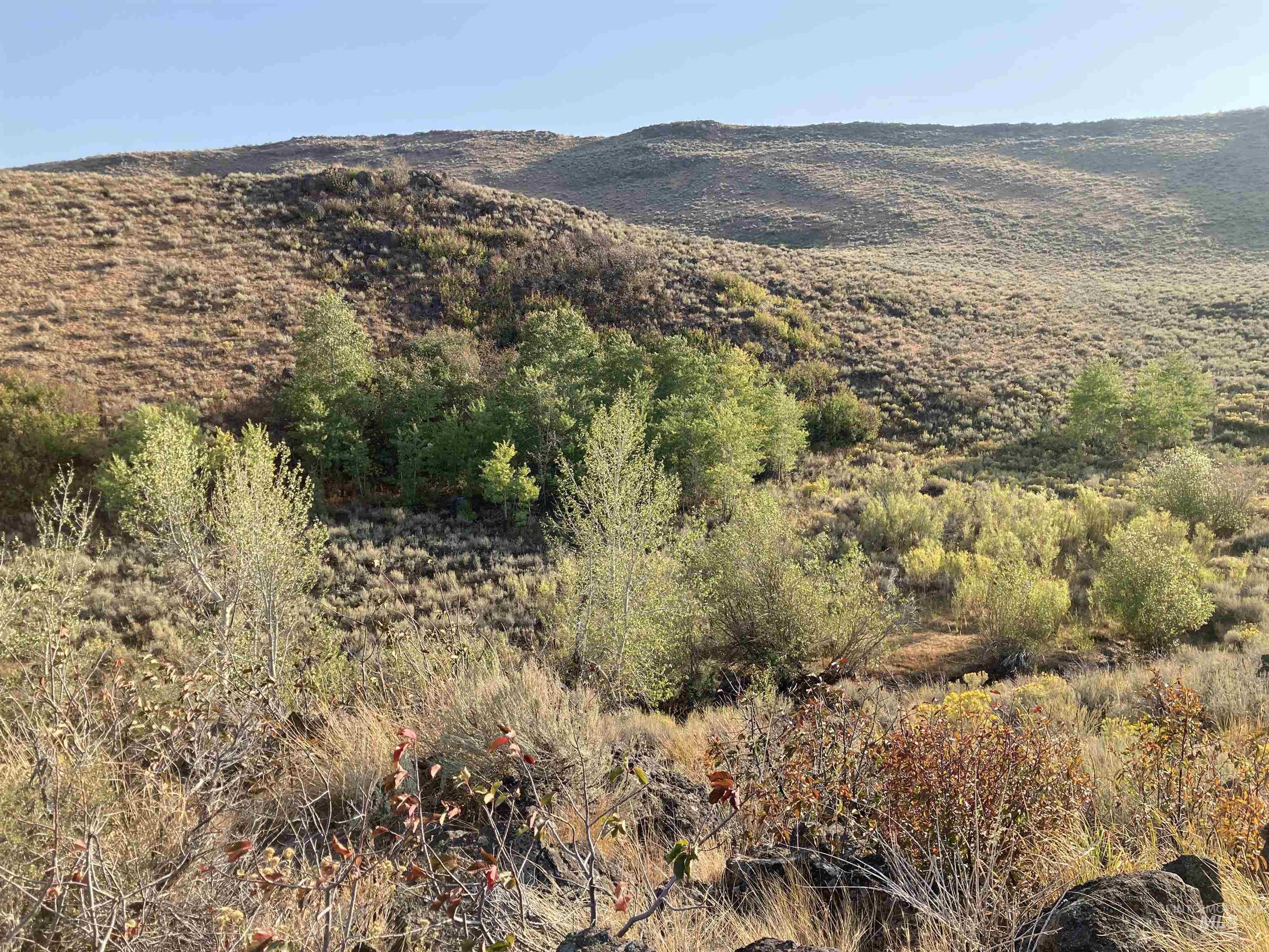 Poison Creek Road Property Photo 3