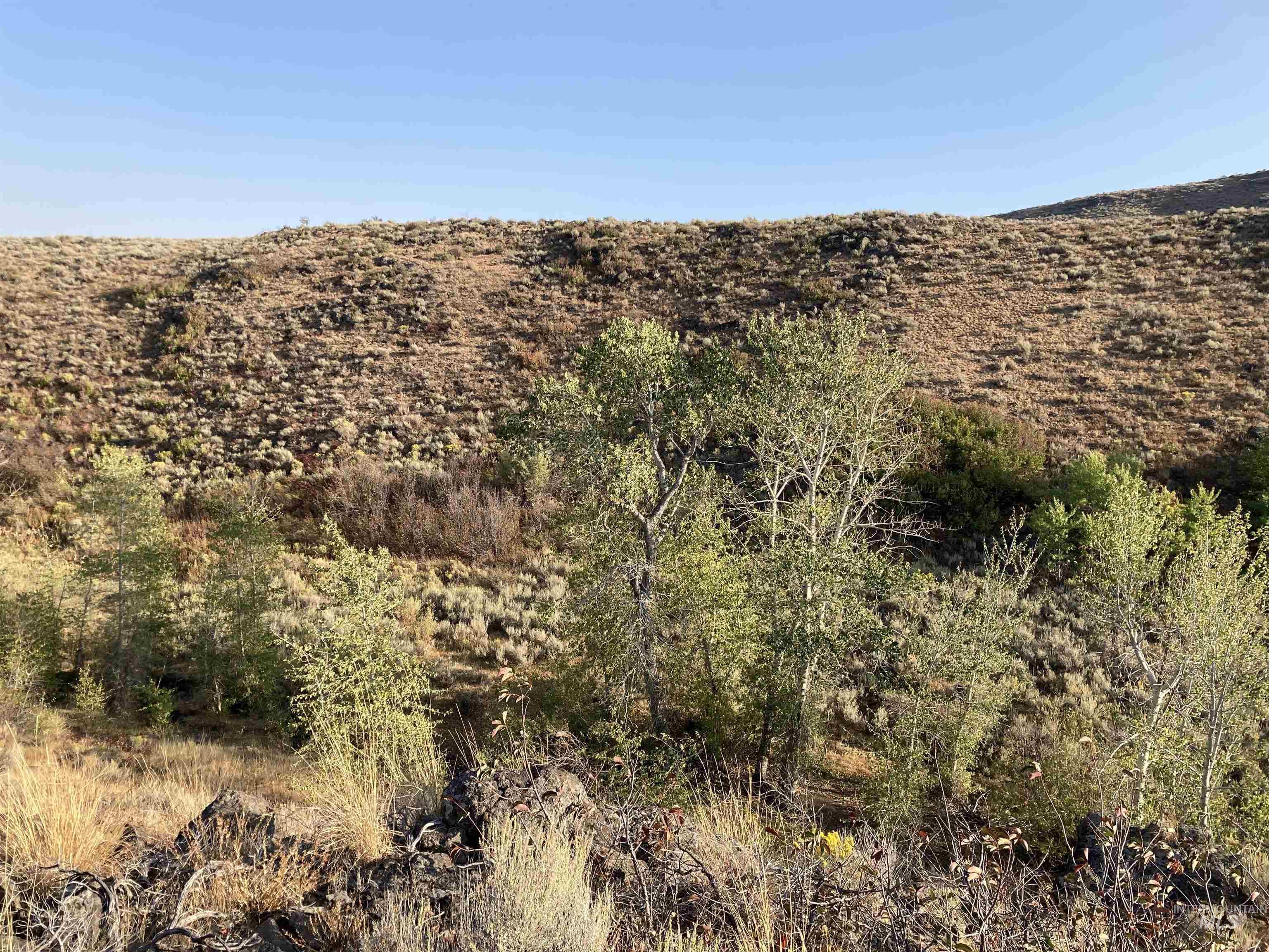Poison Creek Road Property Photo 4