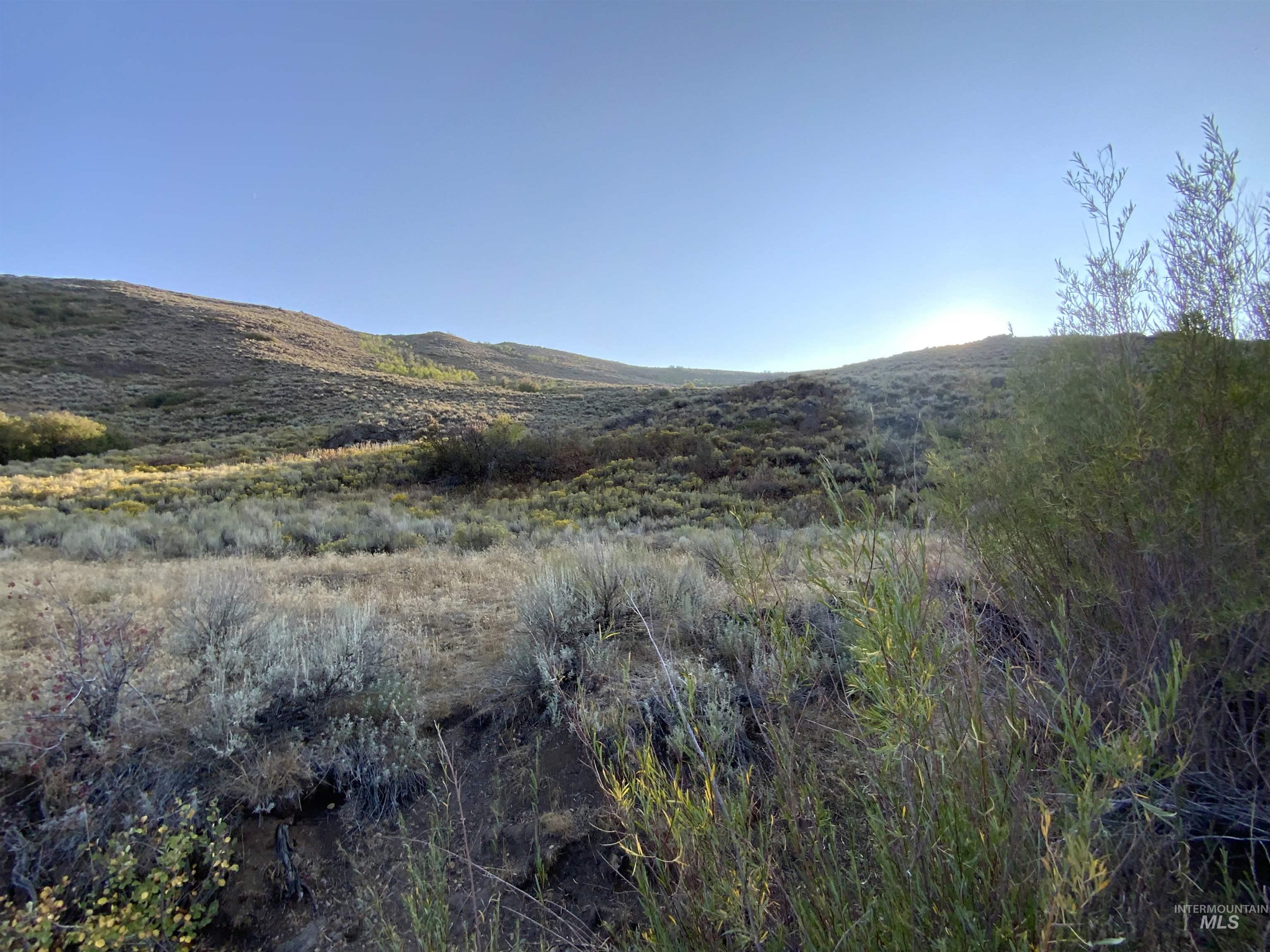 Poison Creek Road Property Photo 5