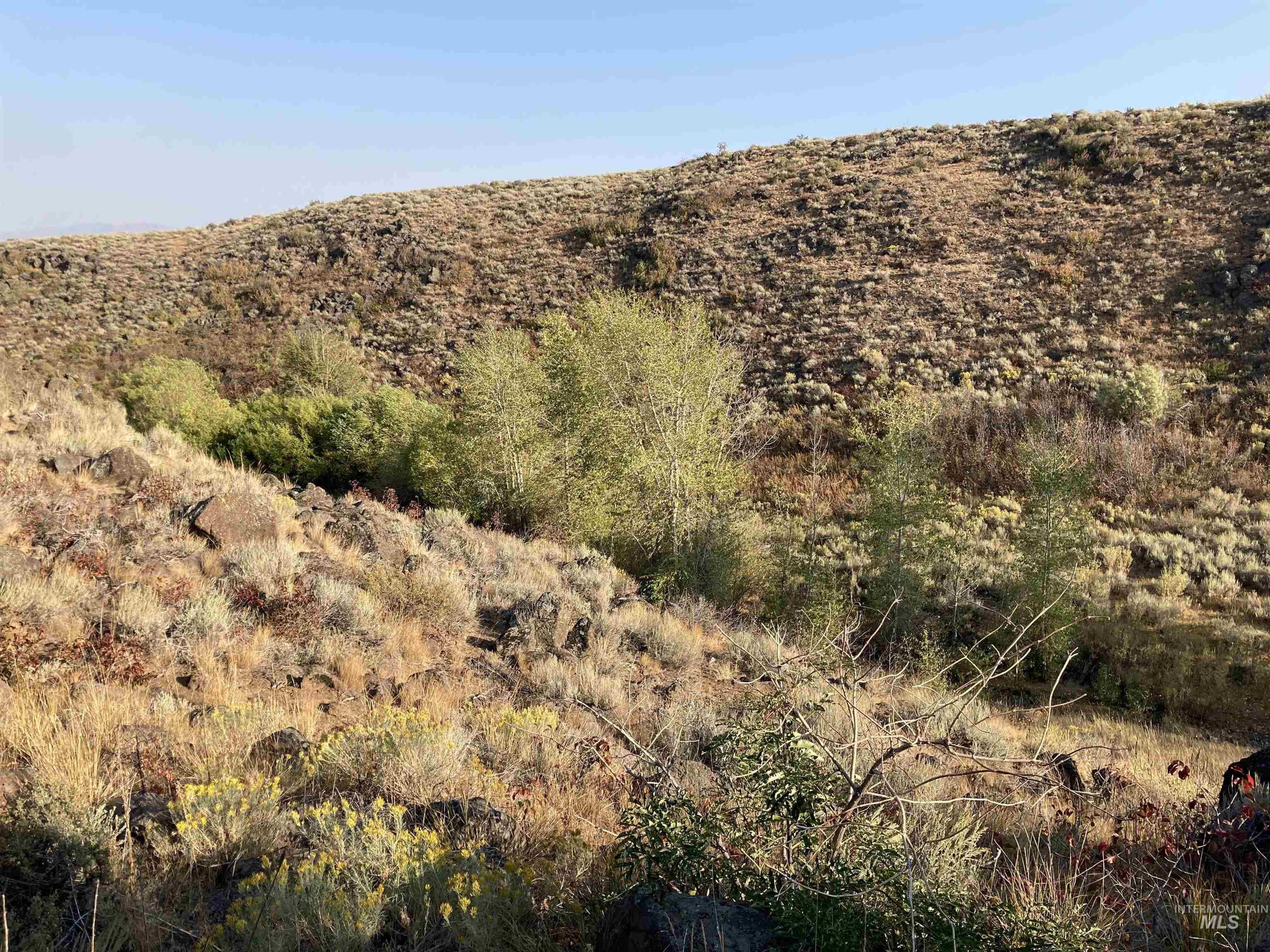 Poison Creek Road Property Photo 9