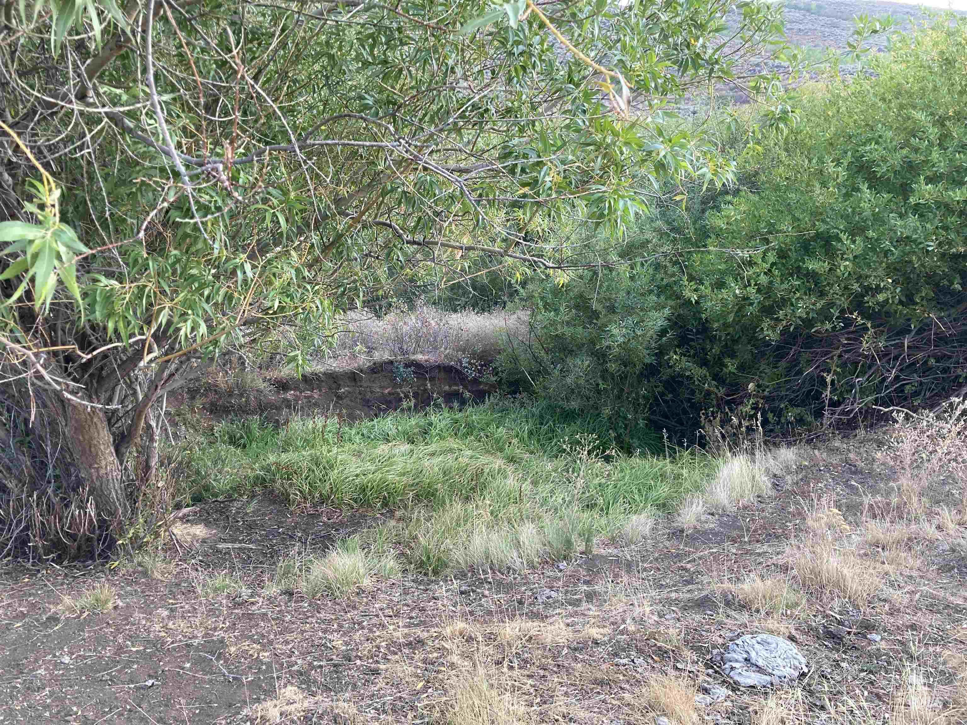 Poison Creek Road Property Photo 10