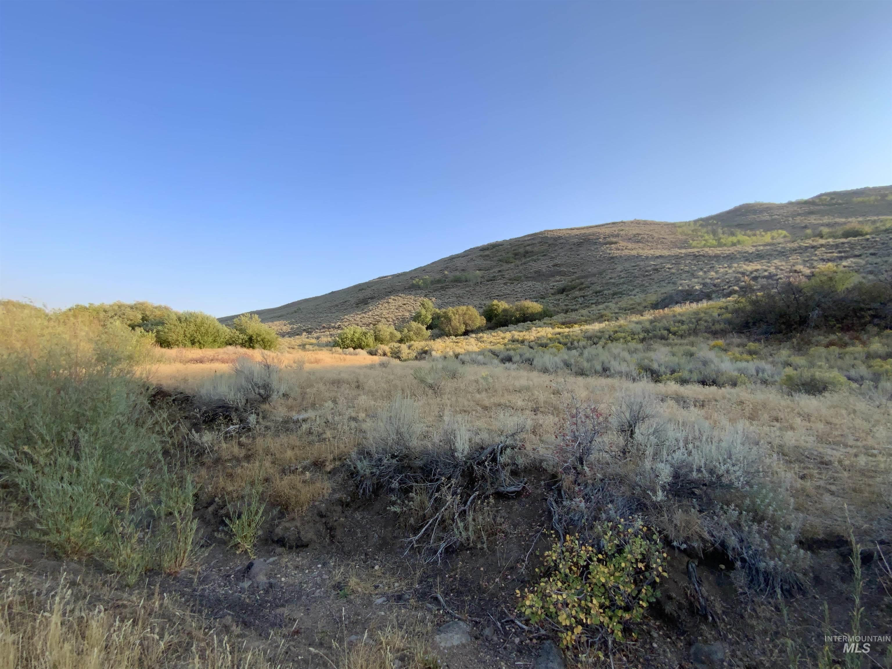 Poison Creek Road Property Photo 11