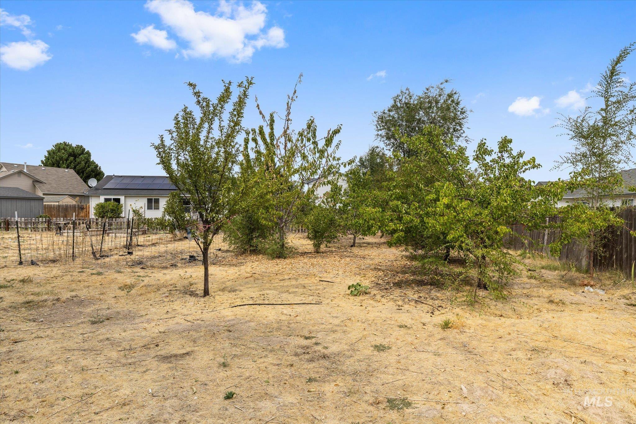 16842 Live Oak Pl Property Photo 38