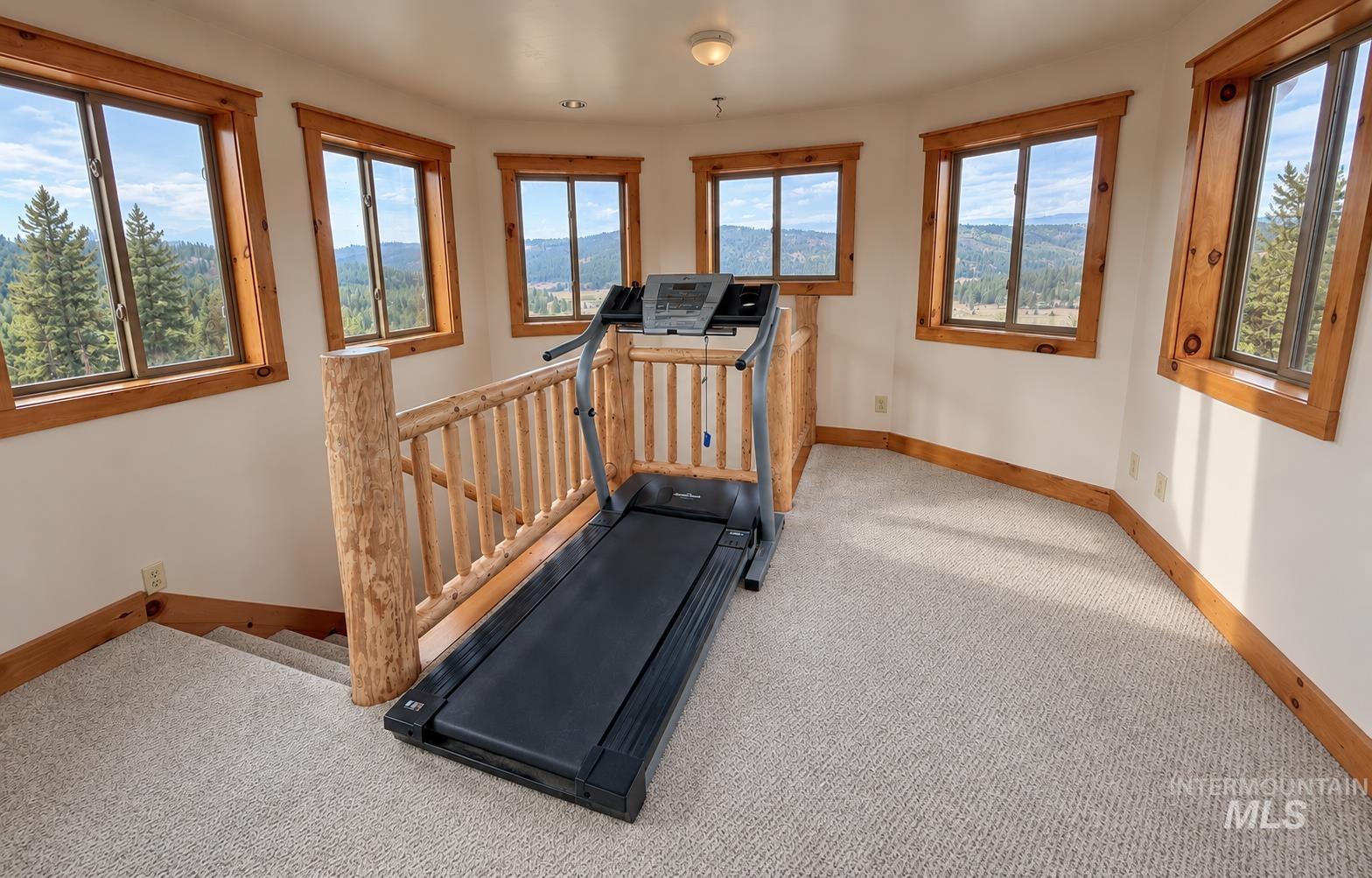 3618 Tamarack View Dr Property Photo 6