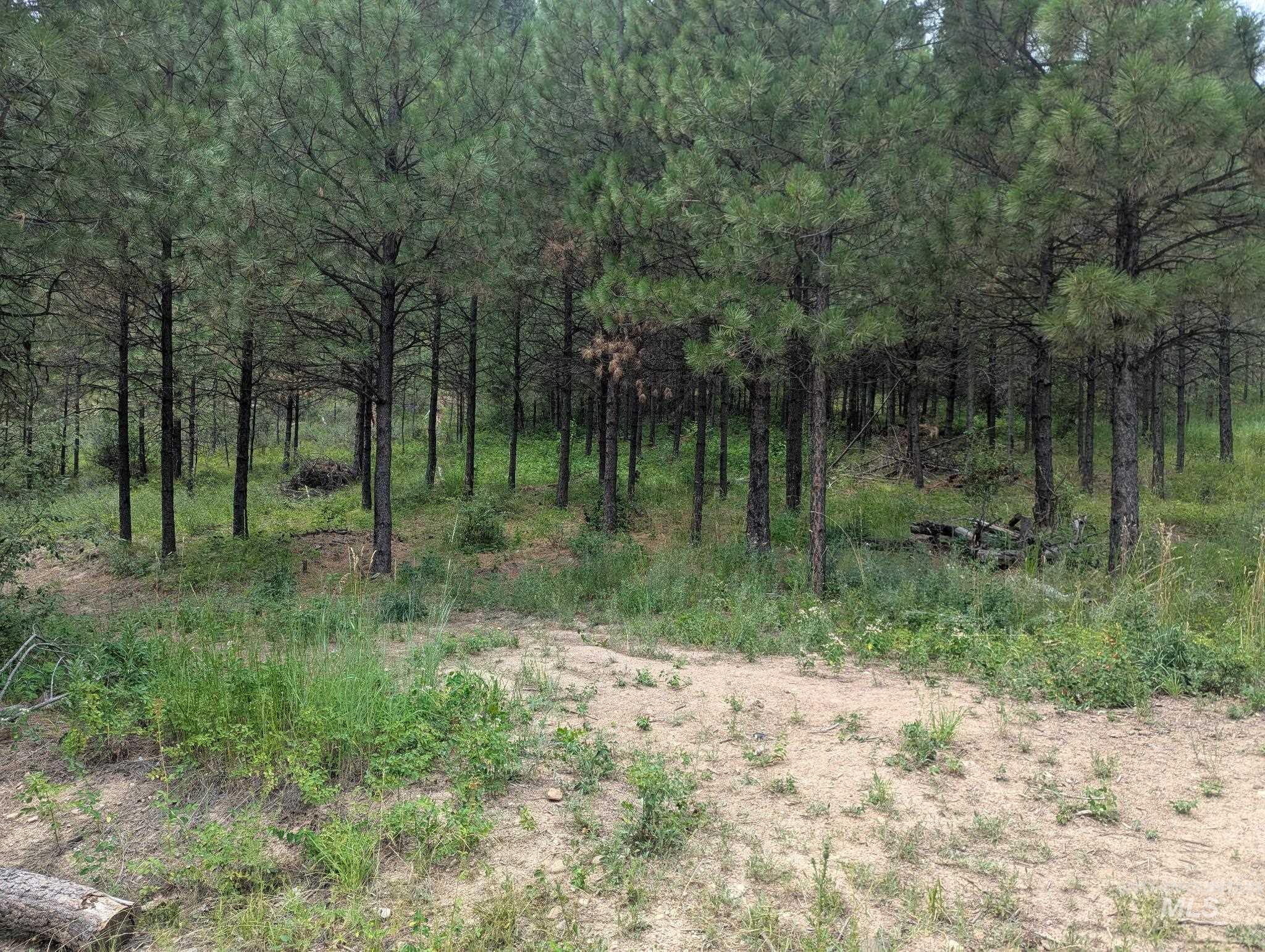 Lot 4 Plateau Rd