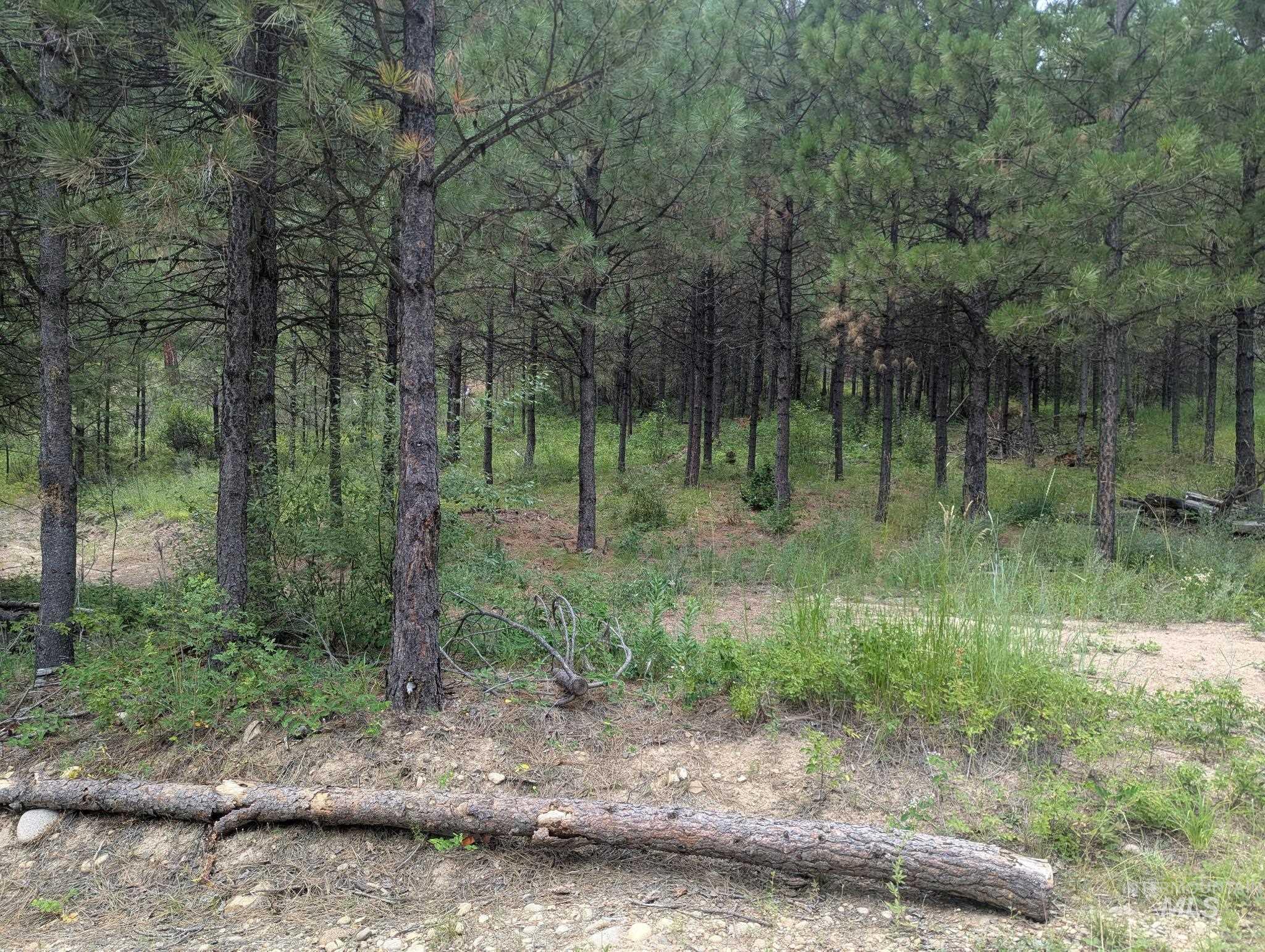 Lot 4 Plateau Rd Property Photo 2