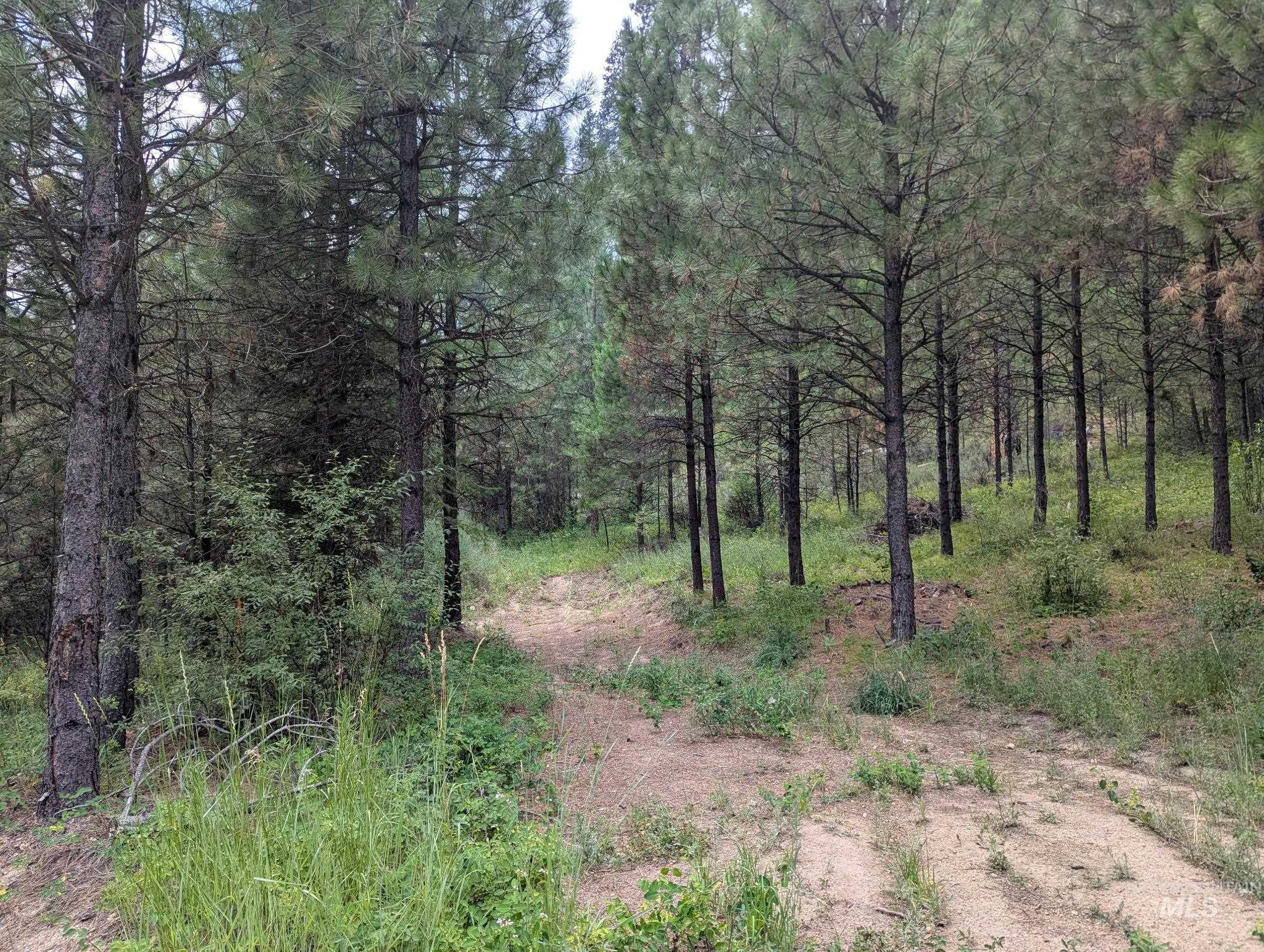 Lot 4 Plateau Rd Property Photo 3
