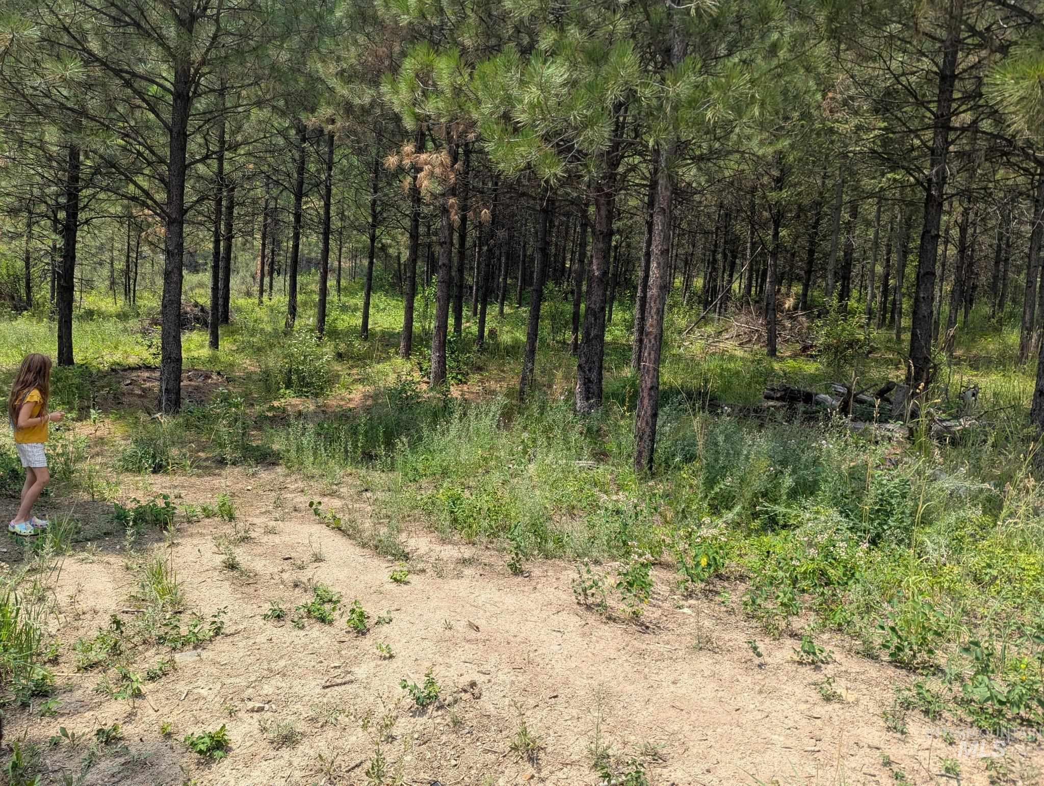 Lot 4 Plateau Rd Property Photo 4