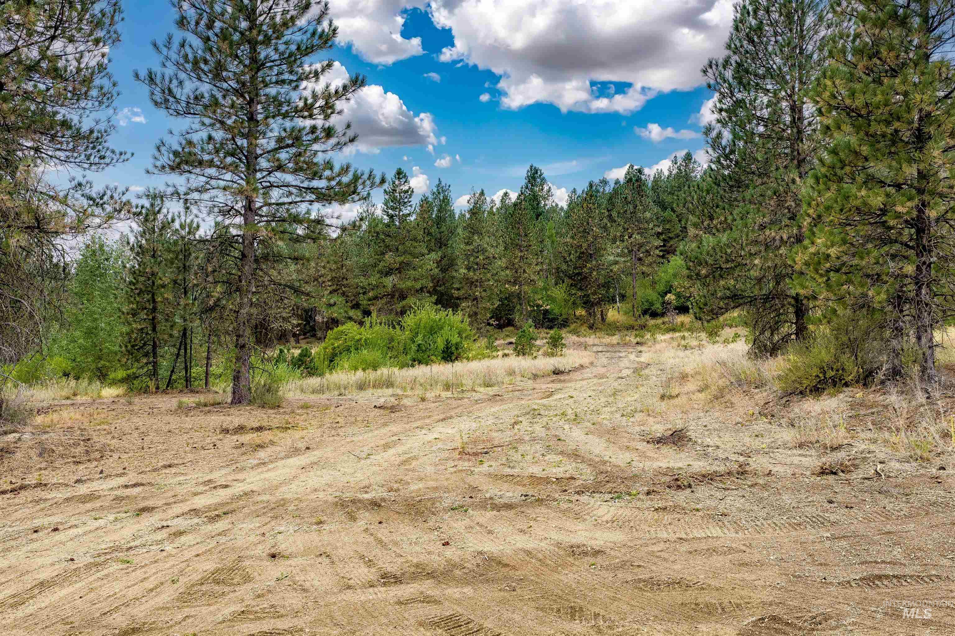 Tbd (lot 1) Hwy 21 Property Photo 6