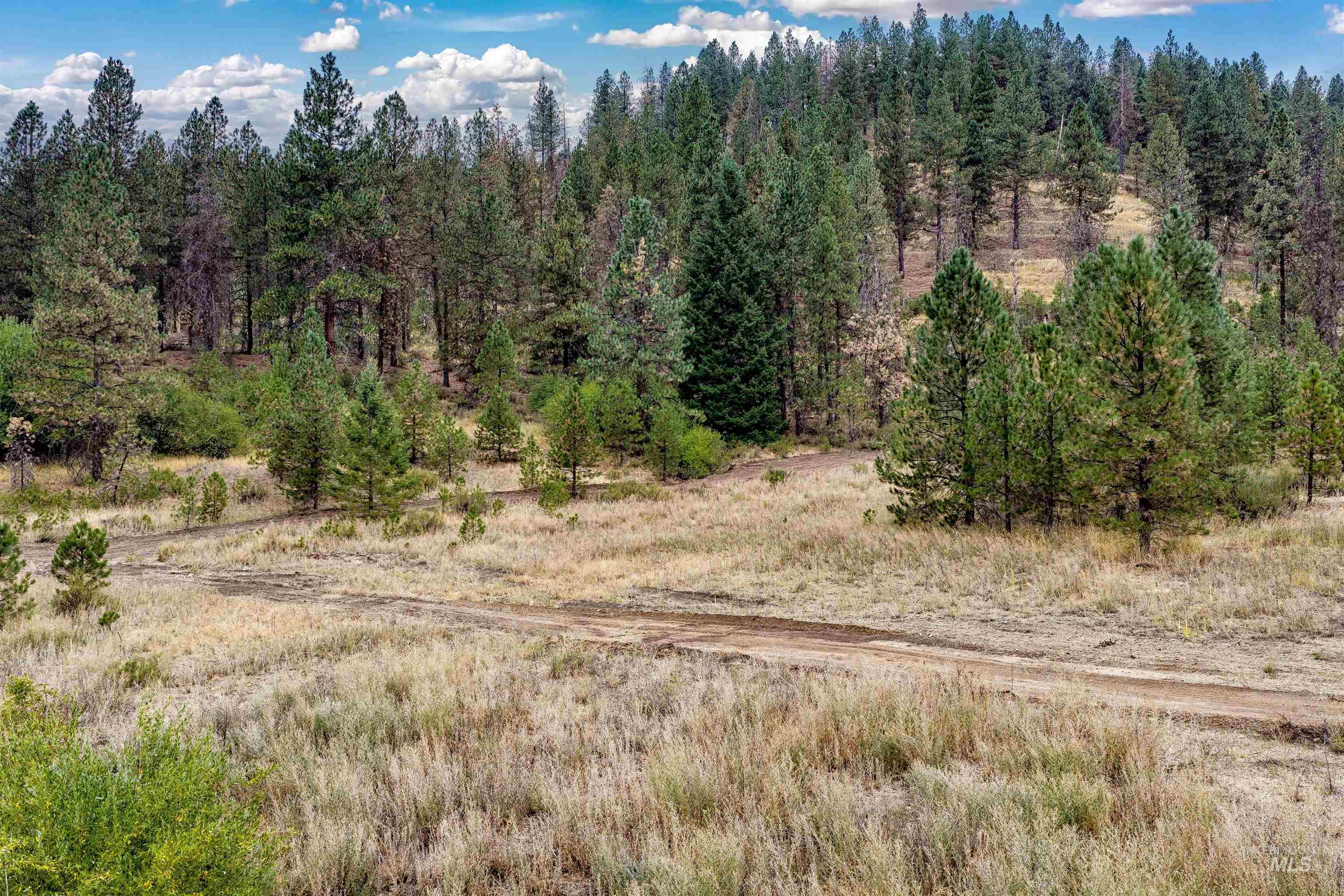 Tbd (lot 1) Hwy 21 Property Photo 7