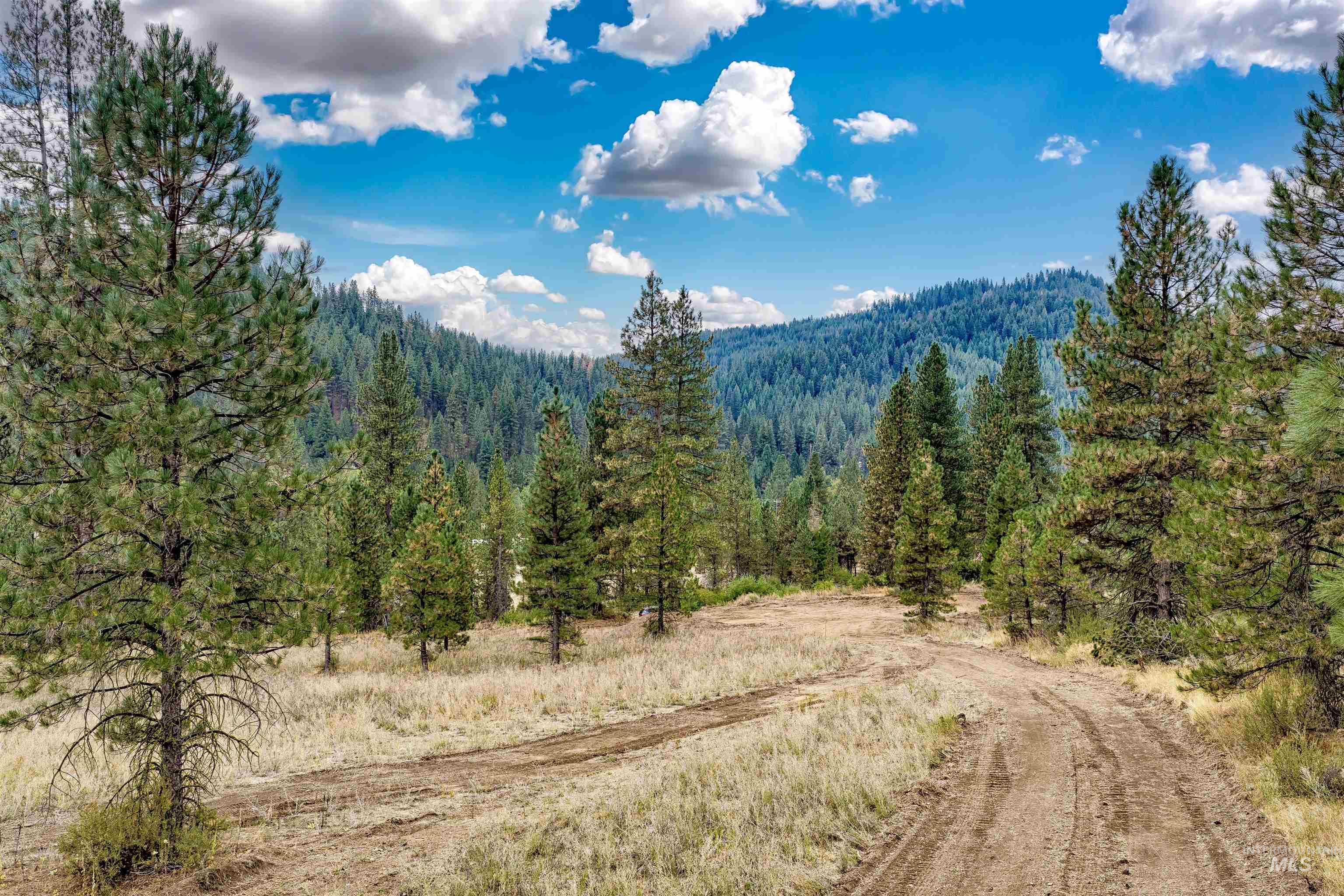 Tbd (lot 2) Hwy 21 Property Photo 3