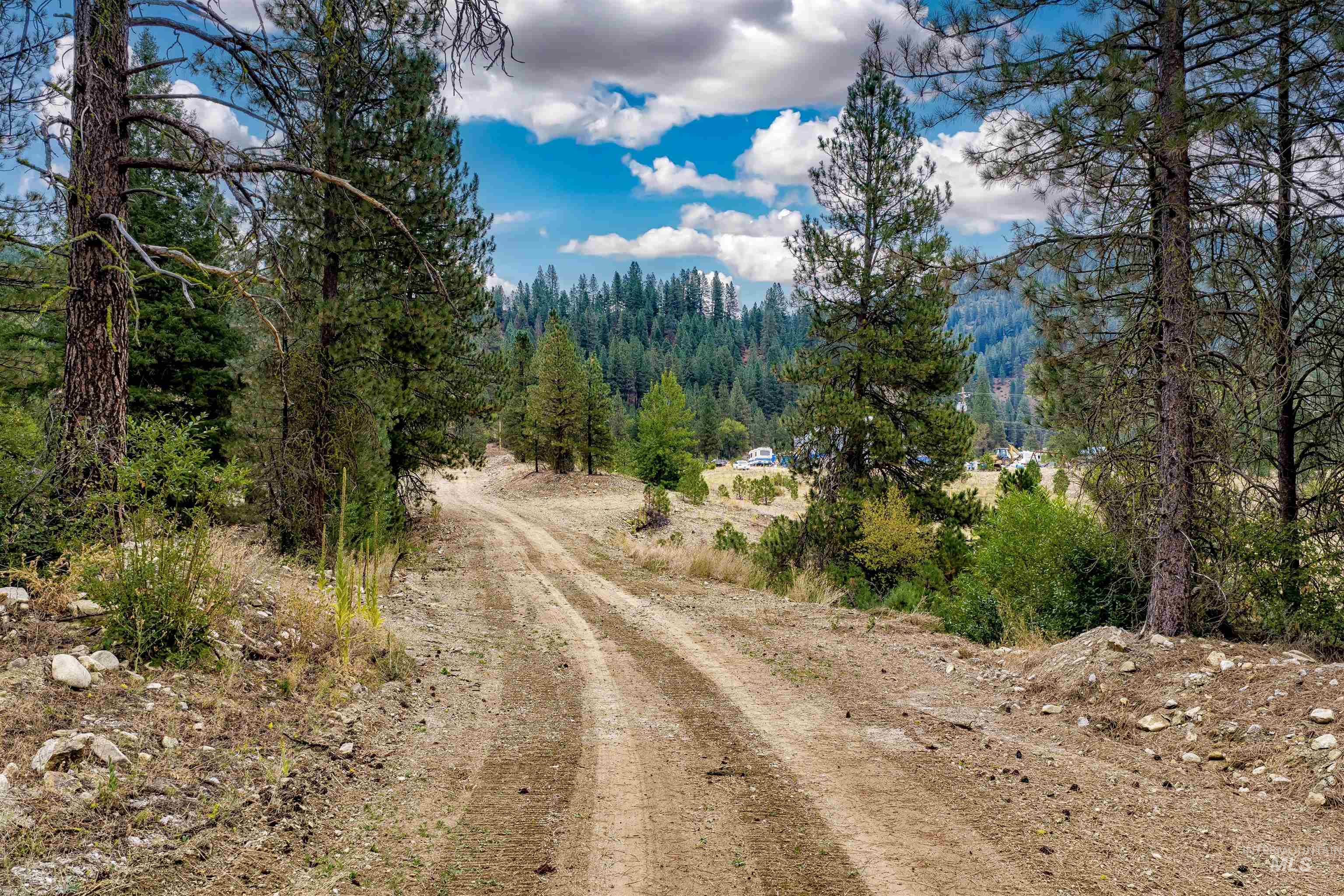 Tbd (lot 2) Hwy 21 Property Photo 4