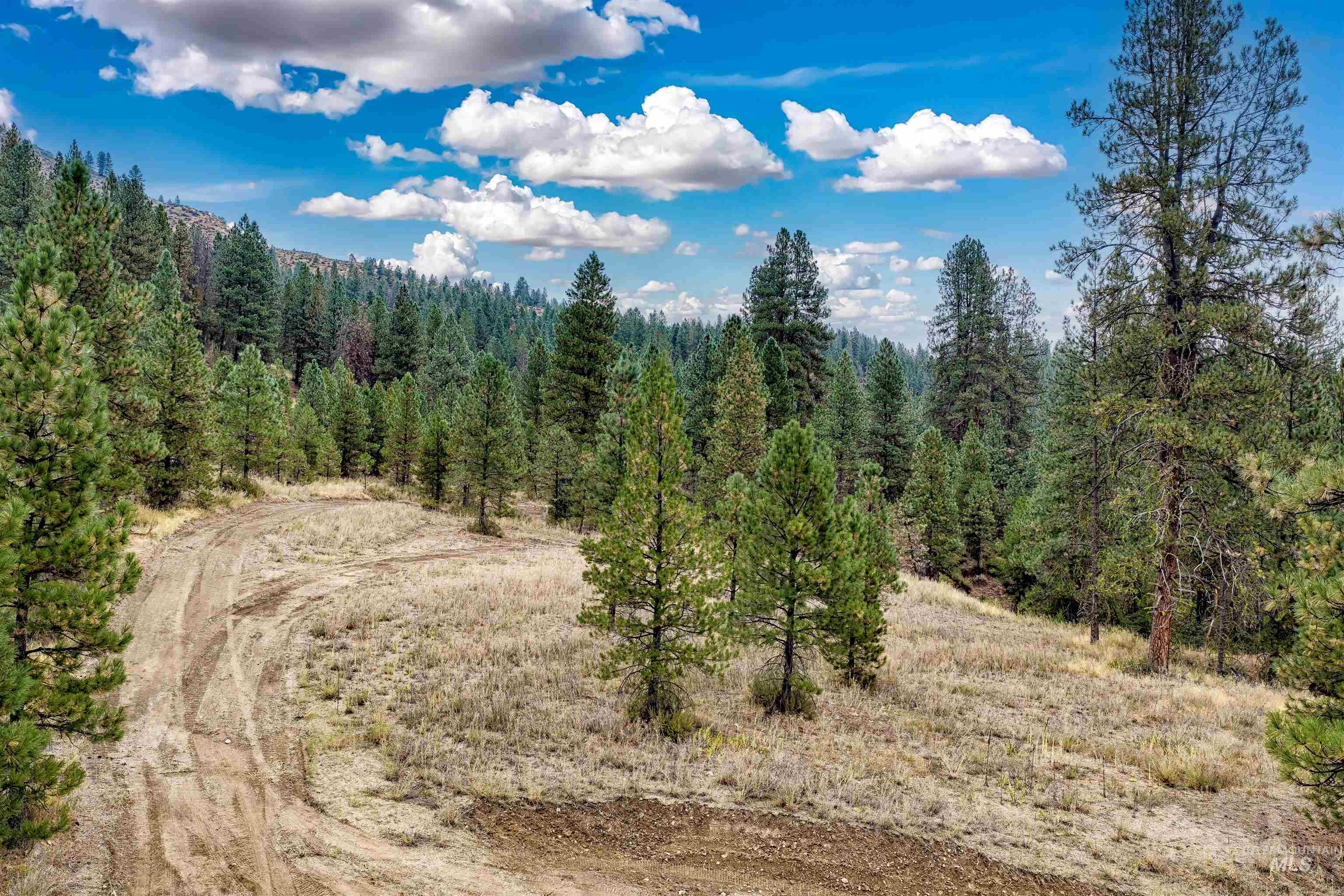 Tbd (lot 2) Hwy 21 Property Photo 15
