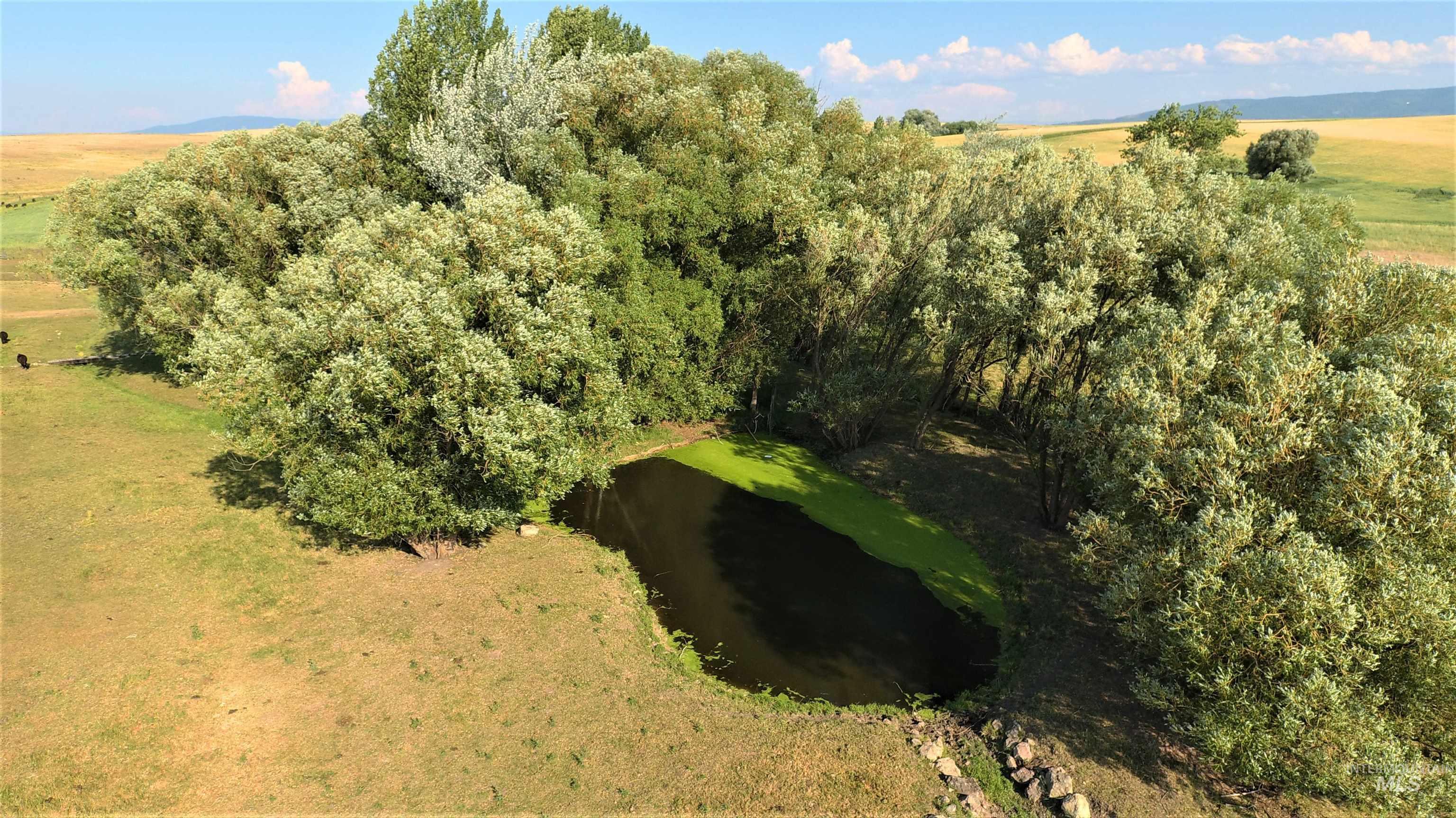 67 Jessup Road Property Photo 8