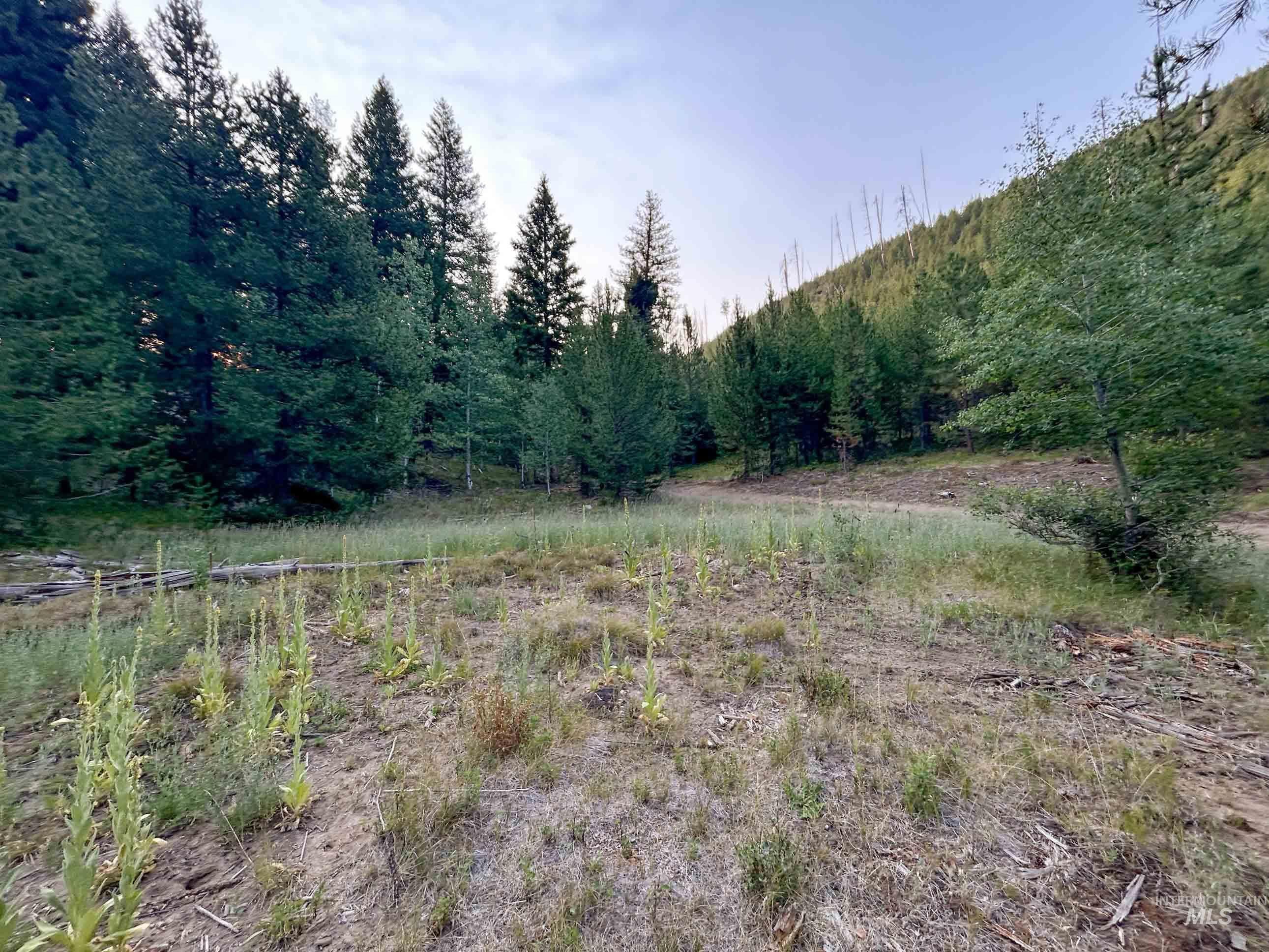 Nka Yuba Vista Property Photo 5
