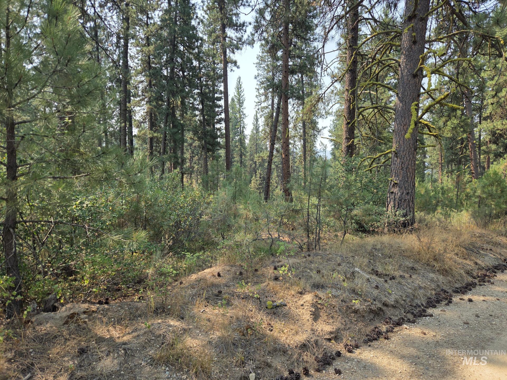 0 Lot 18 Block 16 Of Duquette Pines Division Property Photo 2