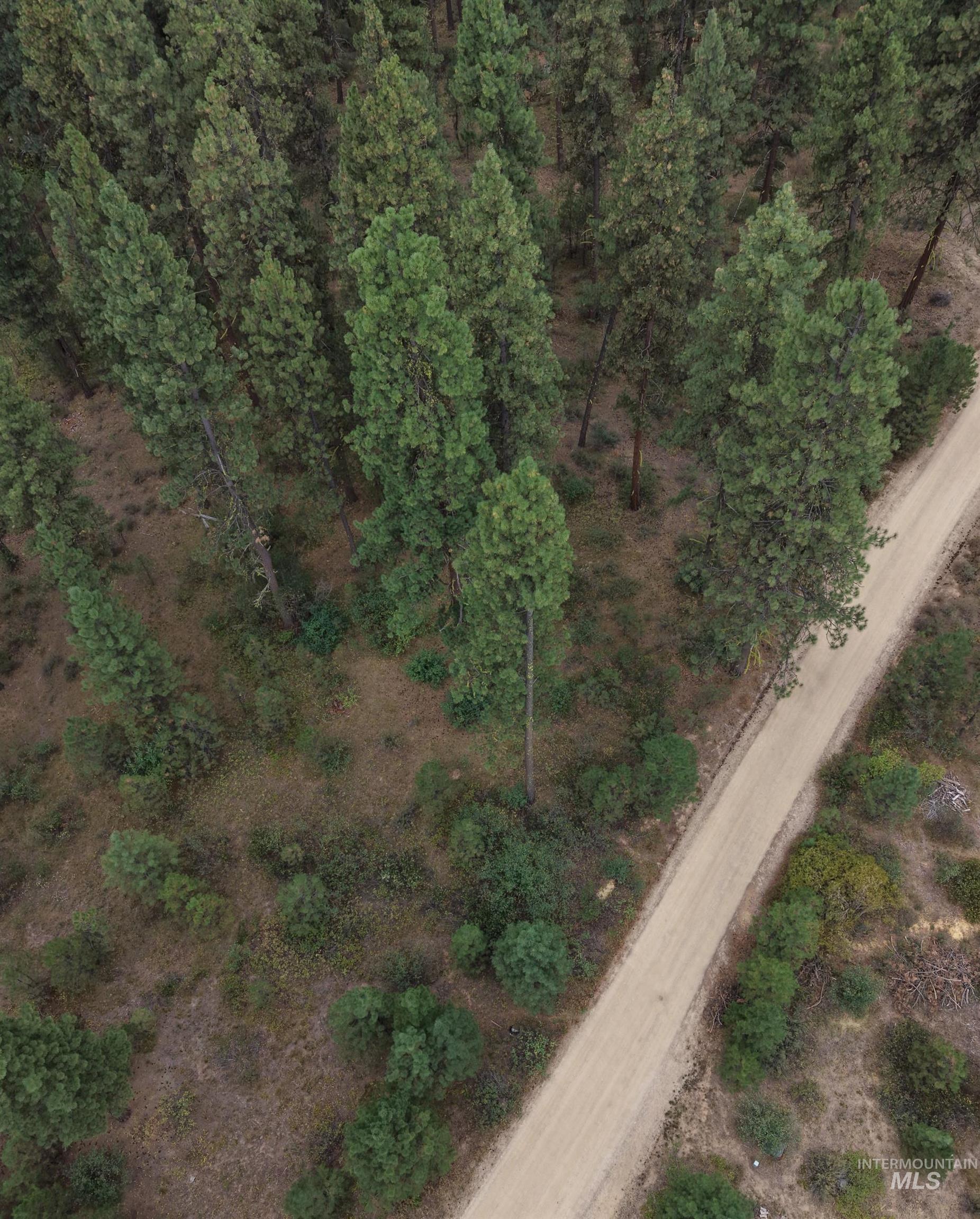 0 Lot 18 Block 16 Of Duquette Pines Division Property Photo 3