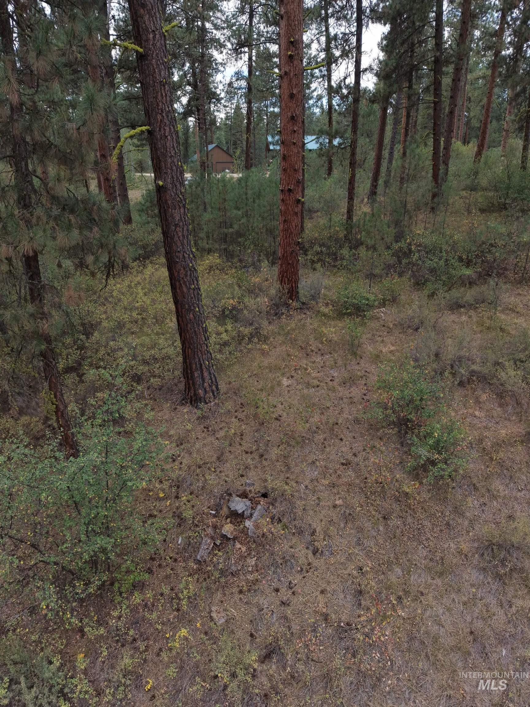 0 Lot 18 Block 16 Of Duquette Pines Division Property Photo 4