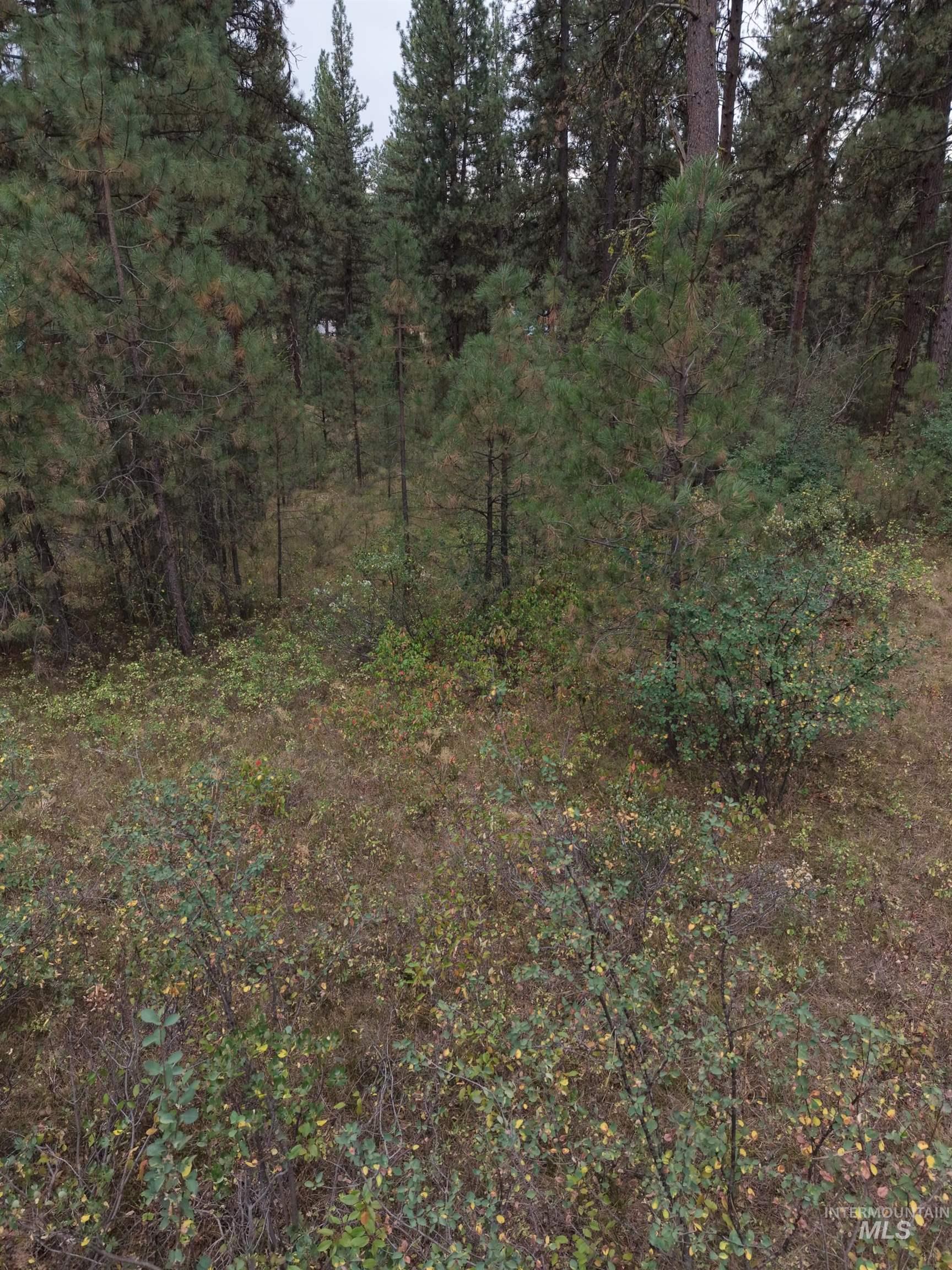0 Lot 18 Block 16 Of Duquette Pines Division Property Photo 5