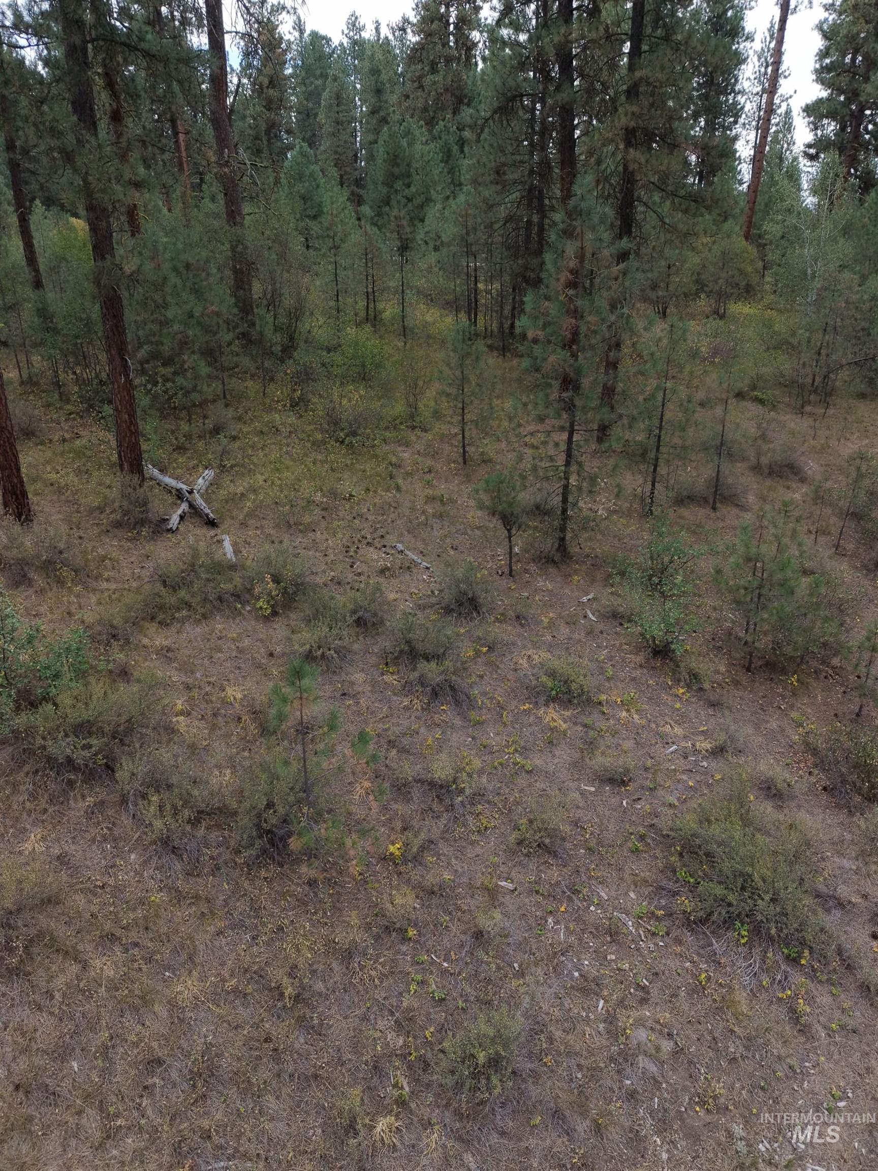 0 Lot 18 Block 16 Of Duquette Pines Division Property Photo 6