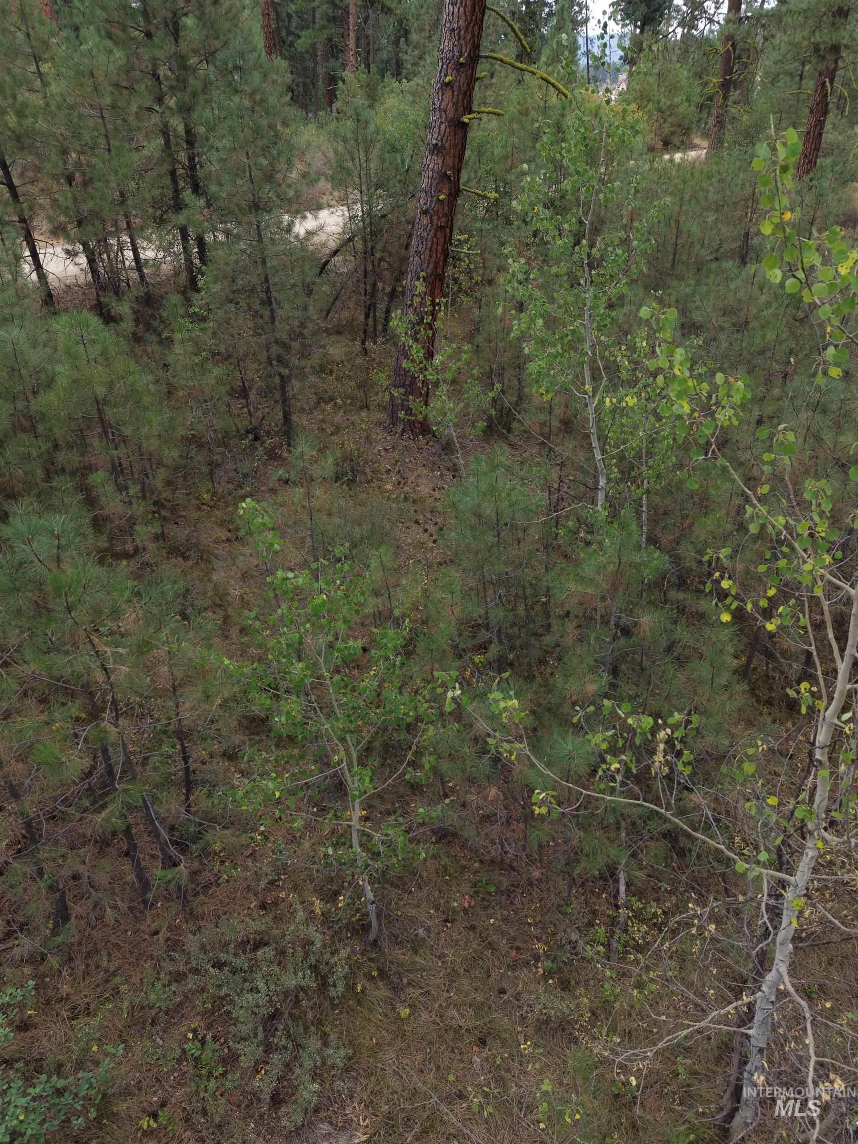 0 Lot 18 Block 16 Of Duquette Pines Division Property Photo 10